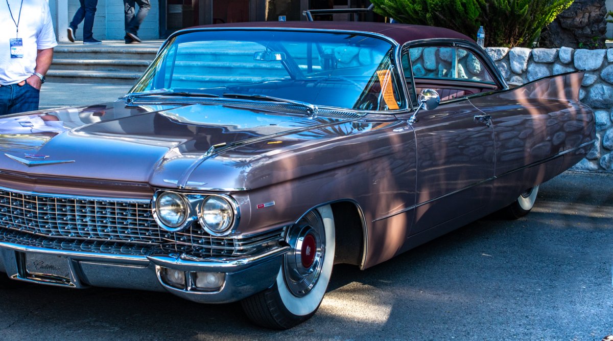 DSC_5938-Edit.jpg