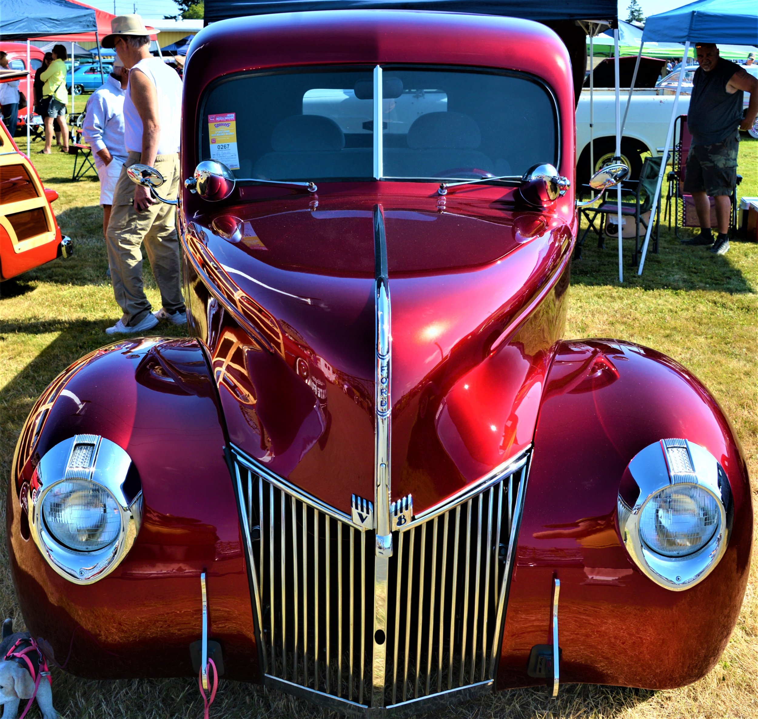 DSC_5968 (2).JPG