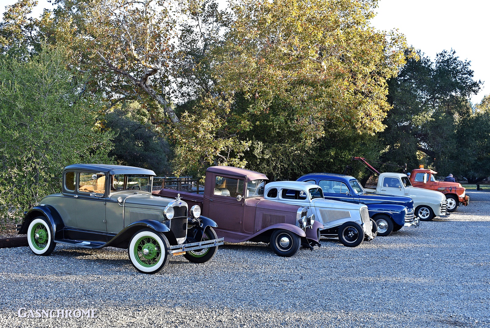 DSC_6130b.JPG
