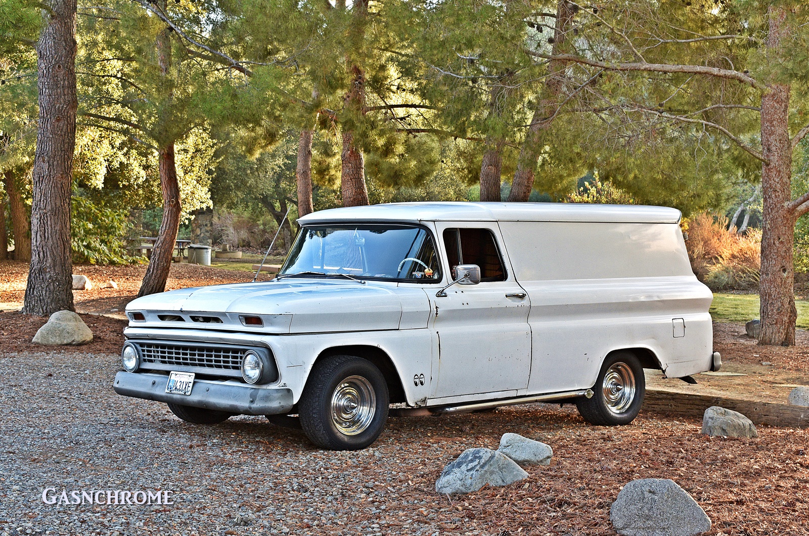 DSC_6136b.JPG