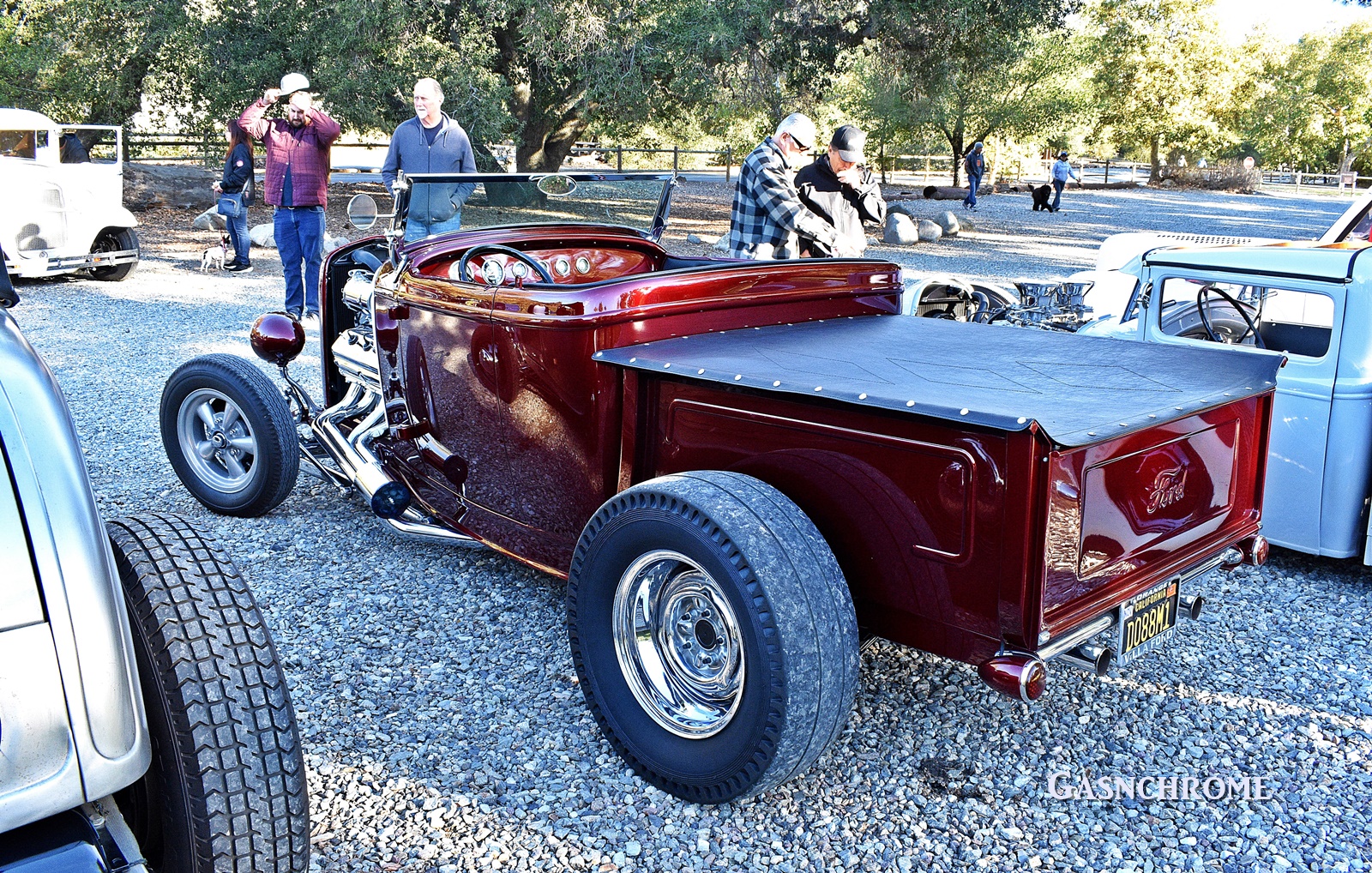 DSC_6172b.JPG