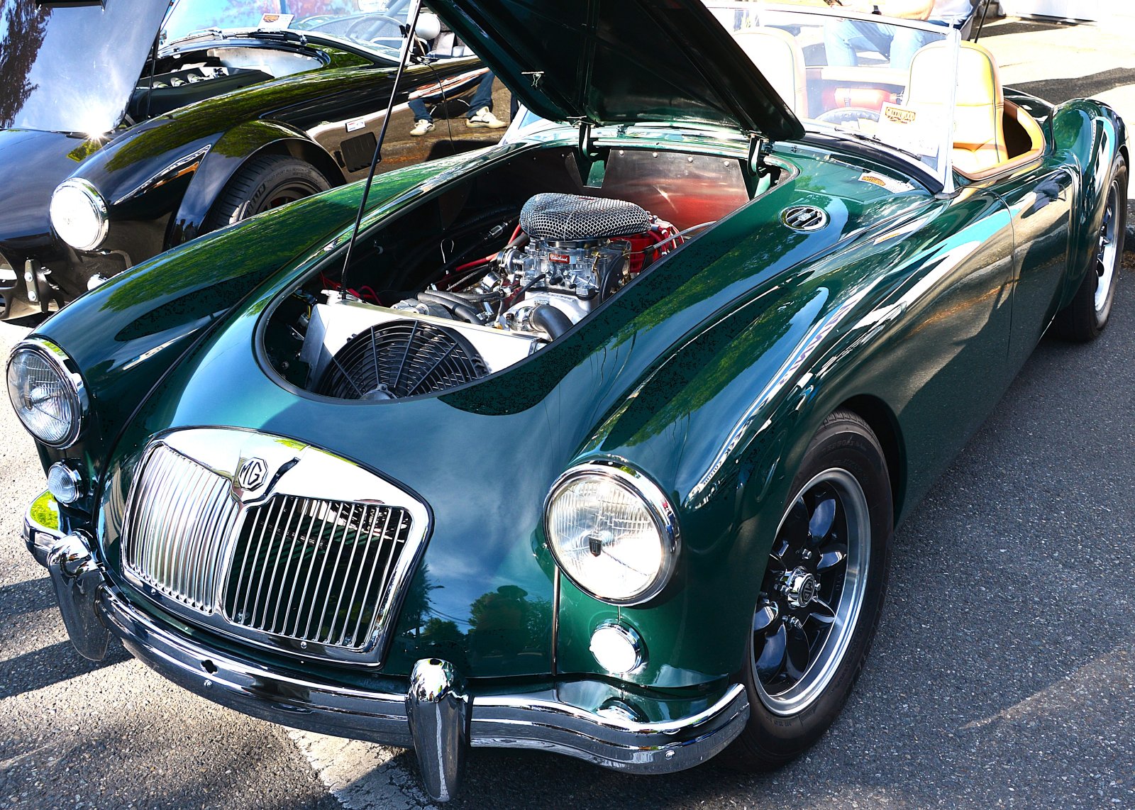 DSC_6208.JPG