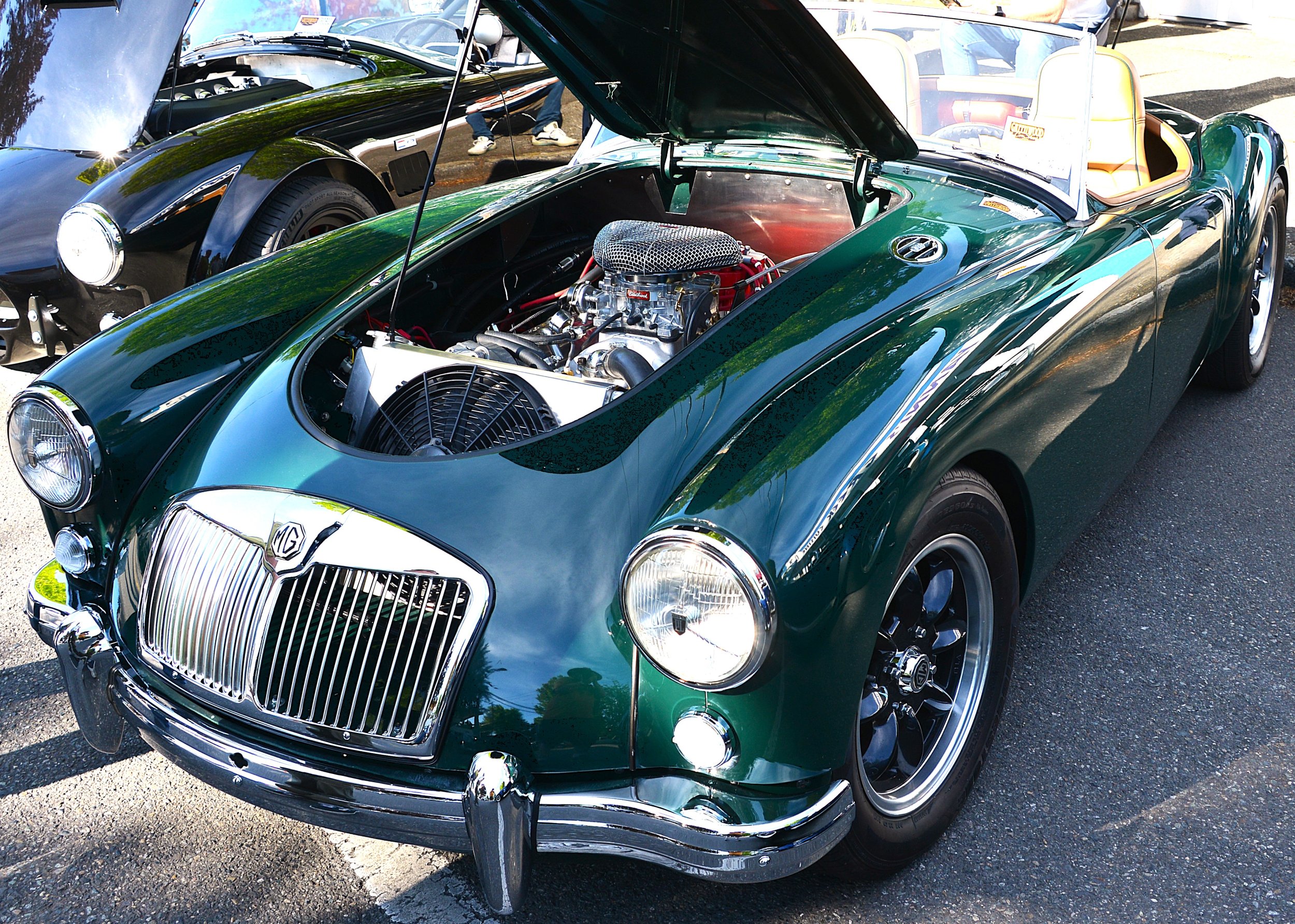 DSC_6208.JPG