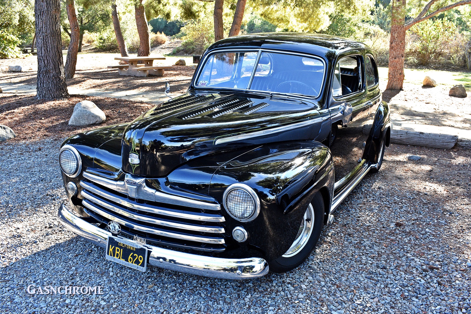 DSC_6211b.JPG