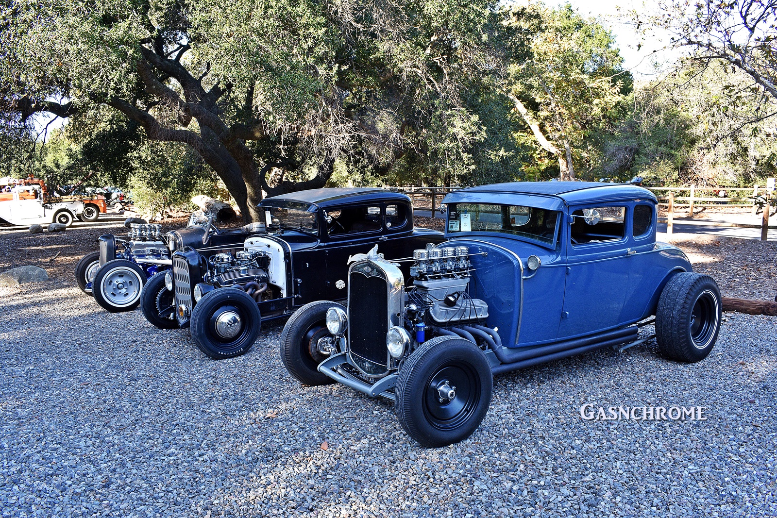 DSC_6216b.JPG