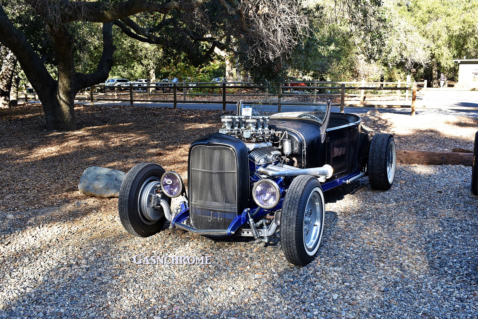 DSC_6221b.JPG