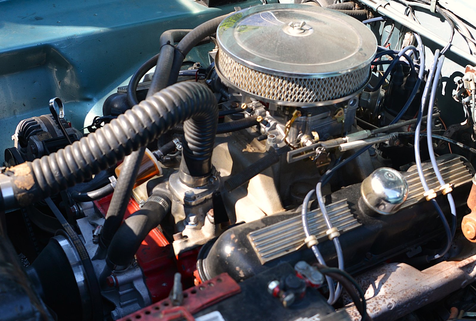 DSC_6262.JPG