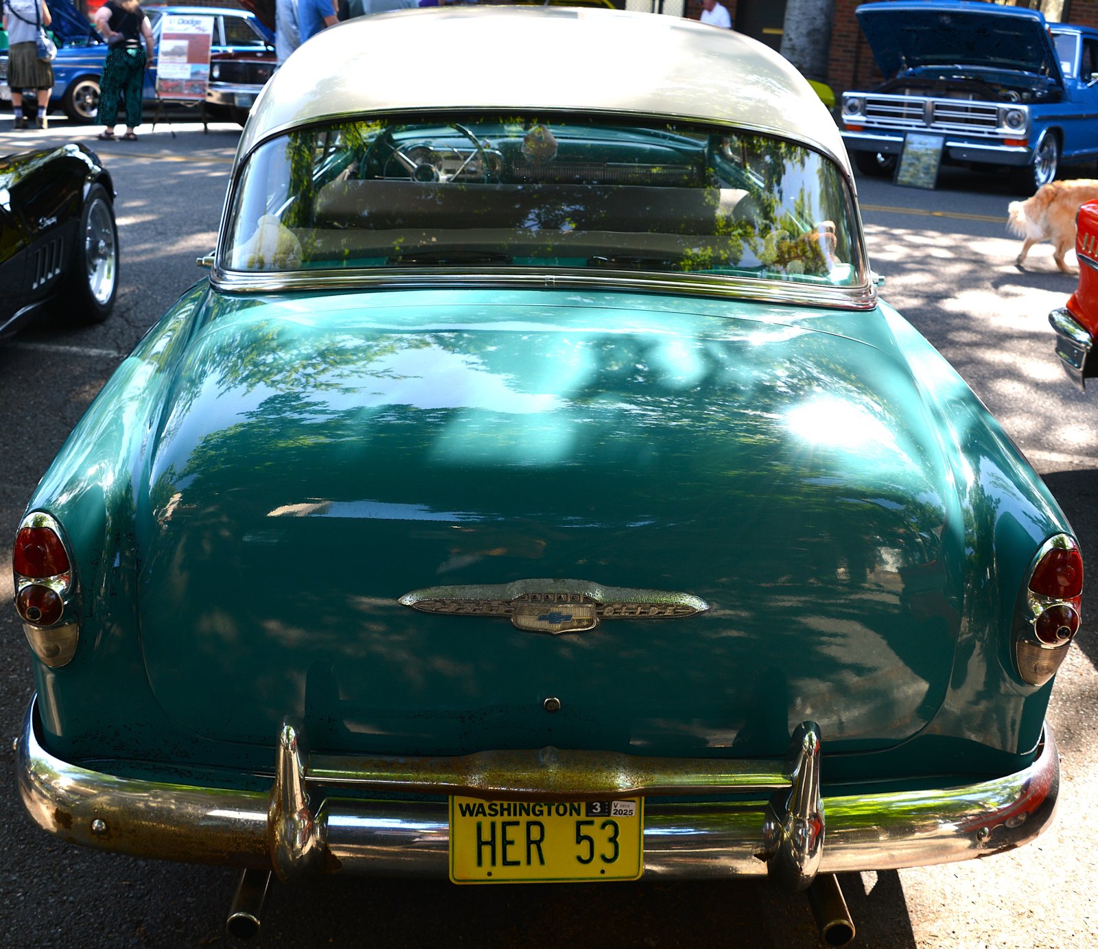 DSC_6270.JPG