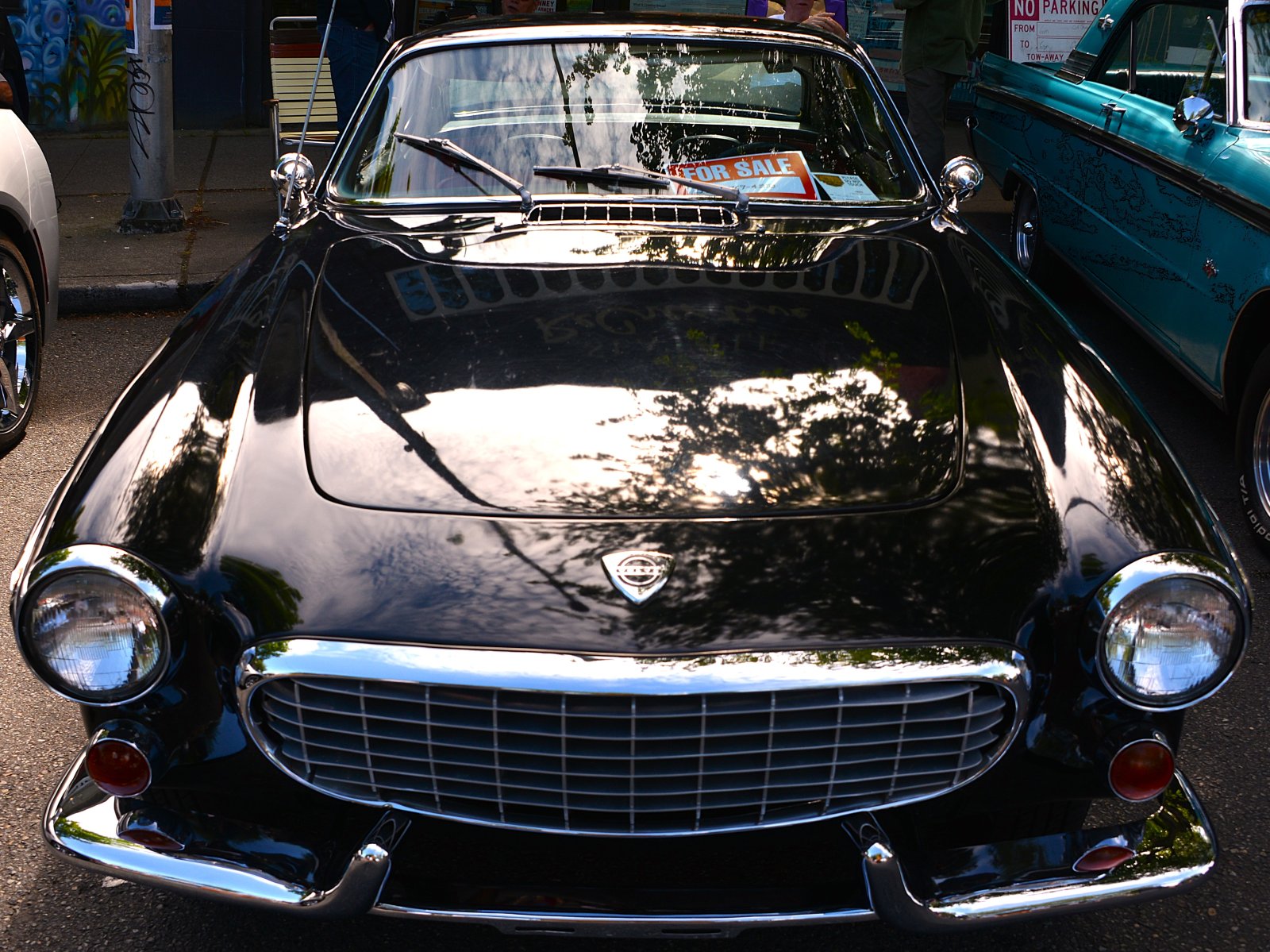 DSC_6305.JPG