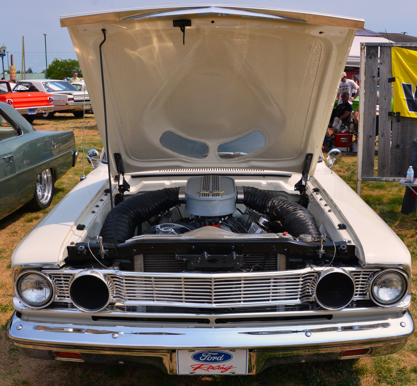 DSC_6564.JPG