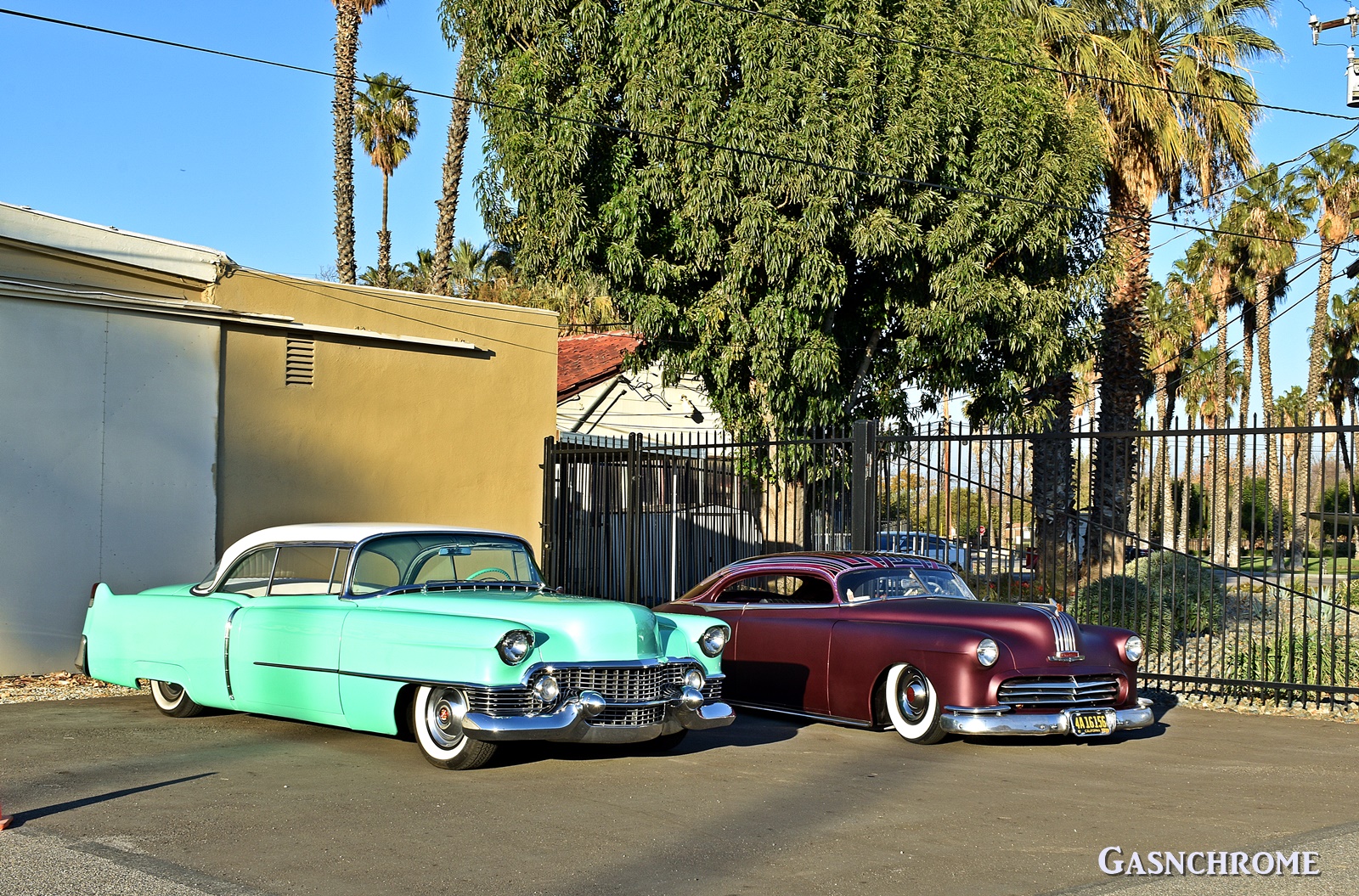 DSC_6567b.JPG