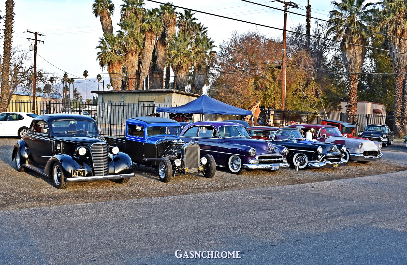 DSC_6574b.JPG