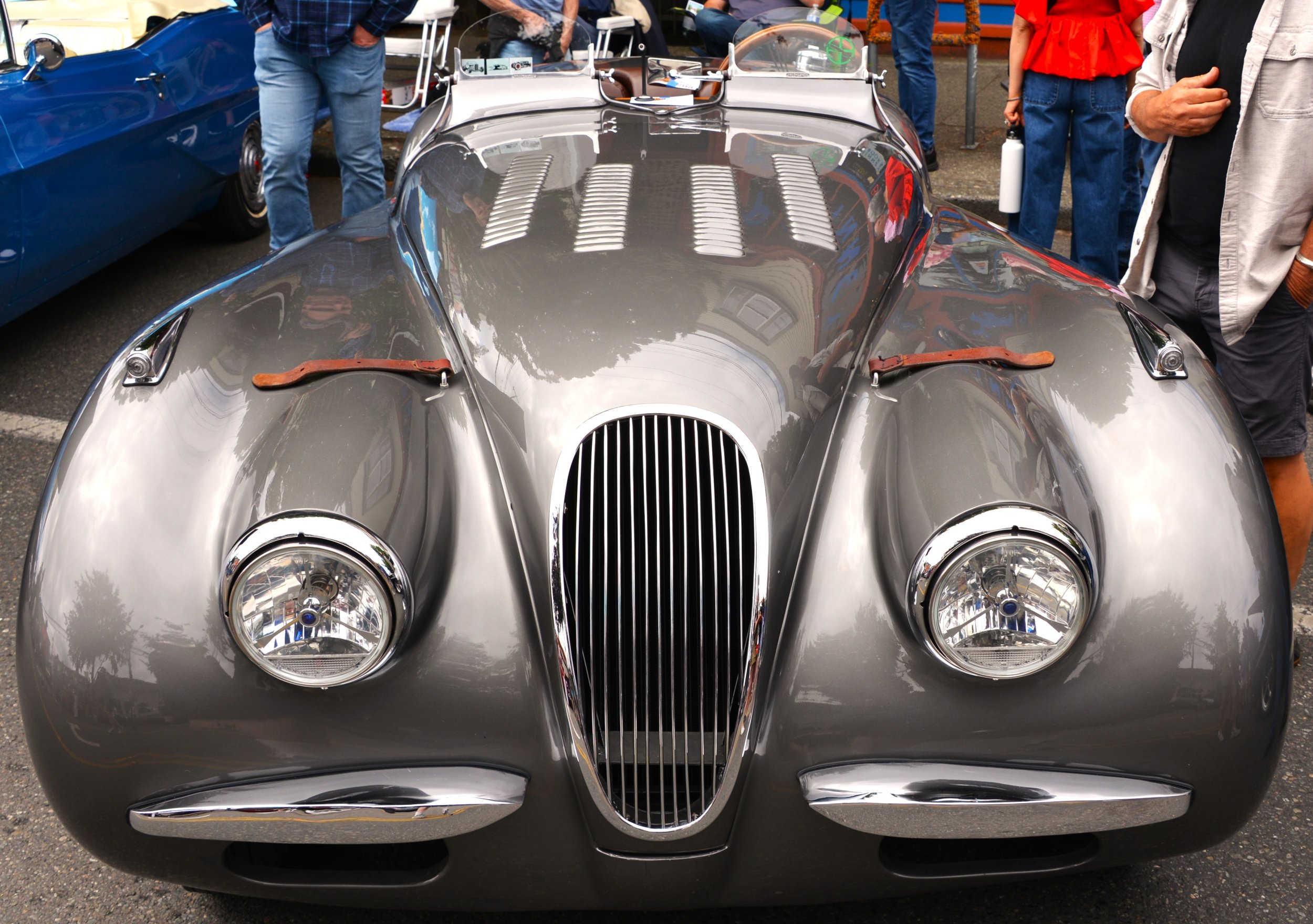 DSC_7420.JPG