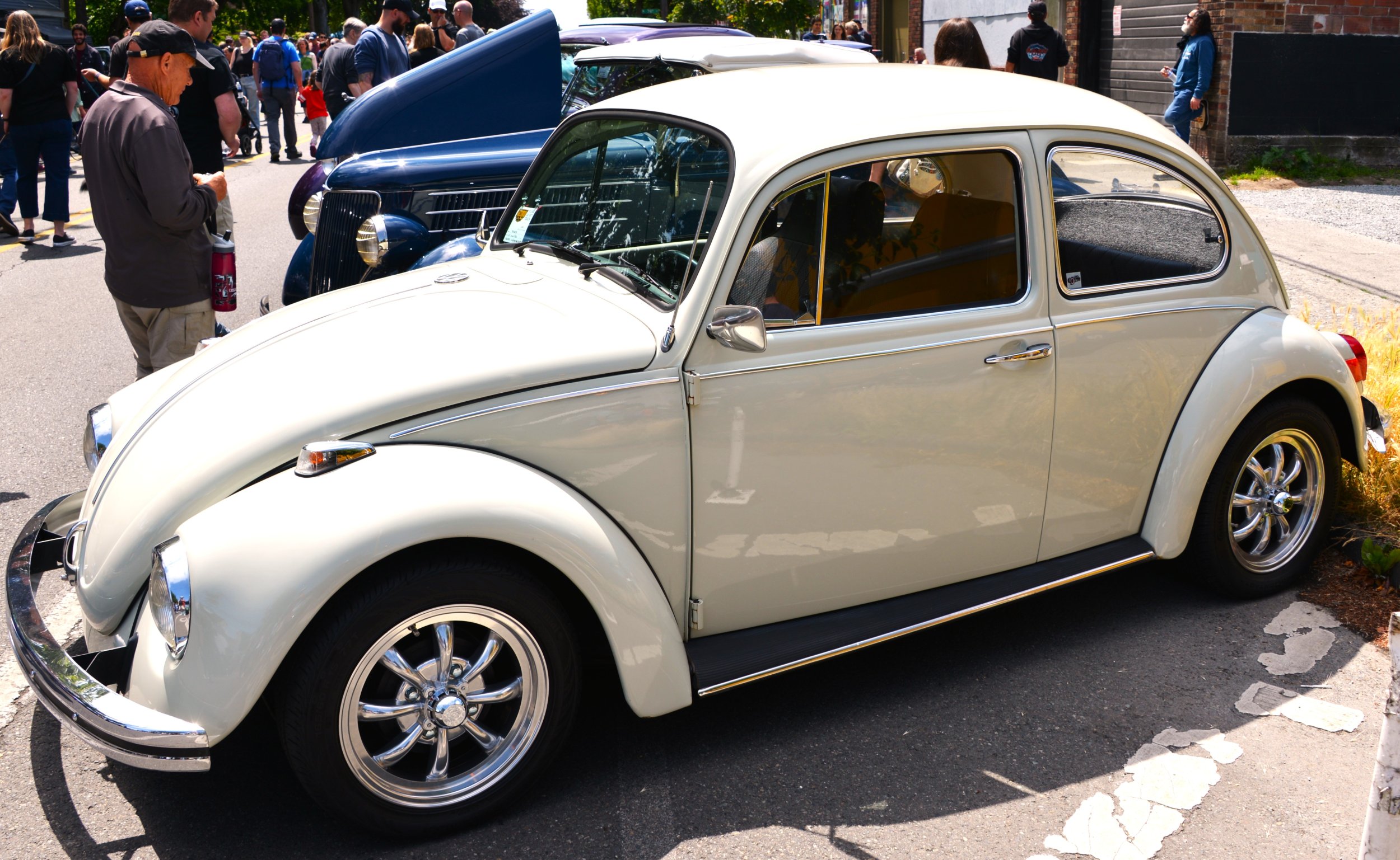 DSC_7470.JPG