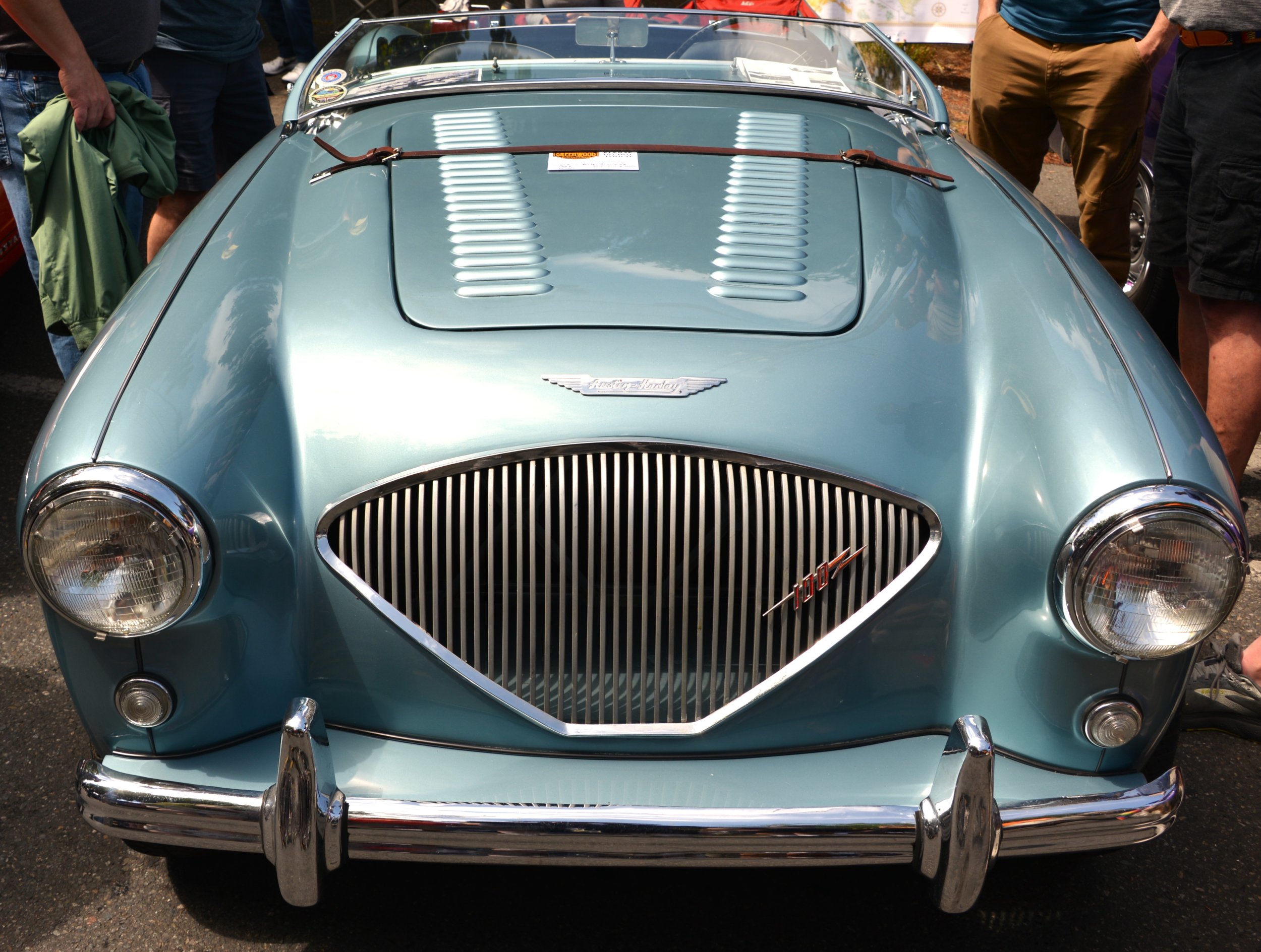 DSC_7471.JPG