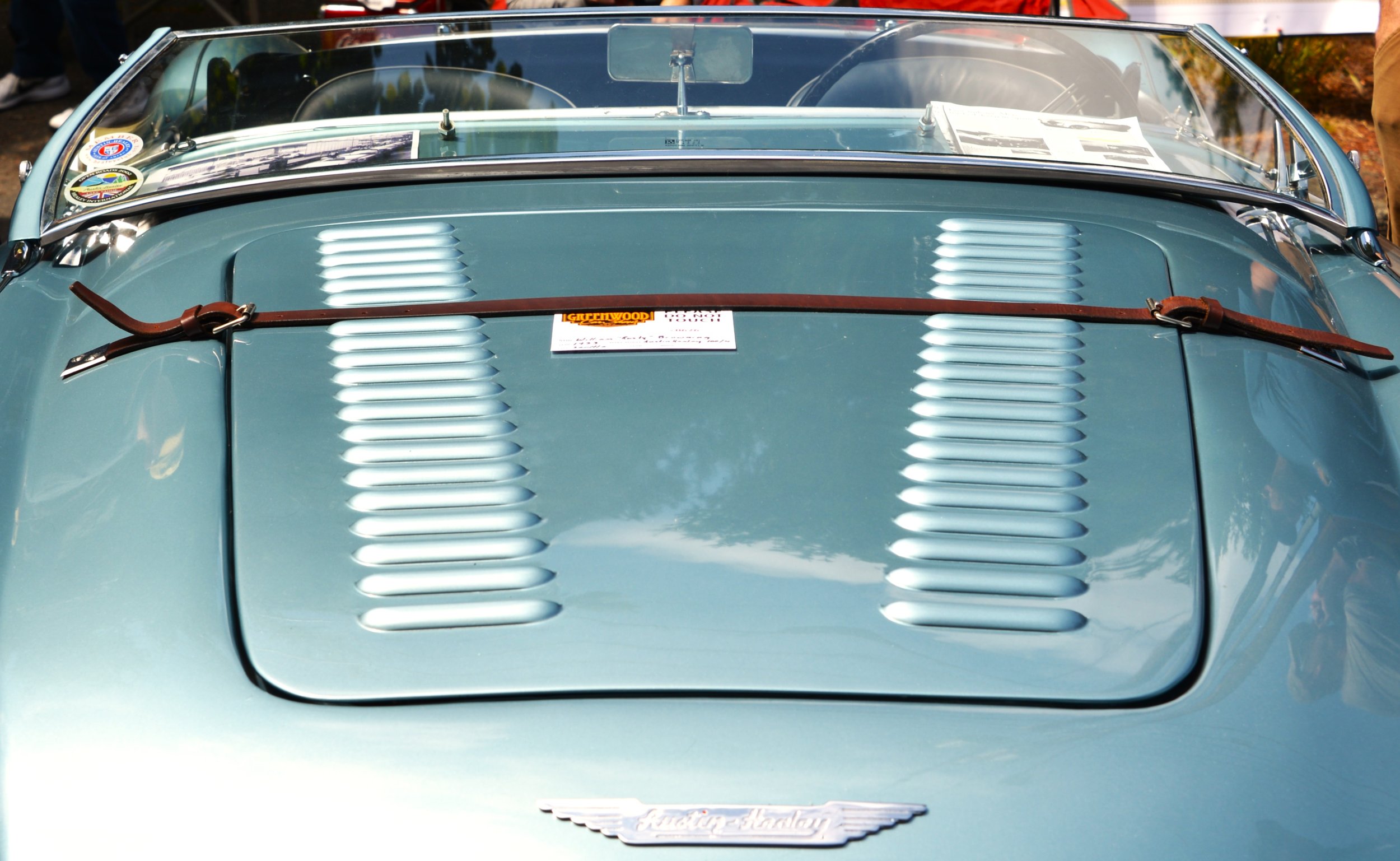 DSC_7472.JPG