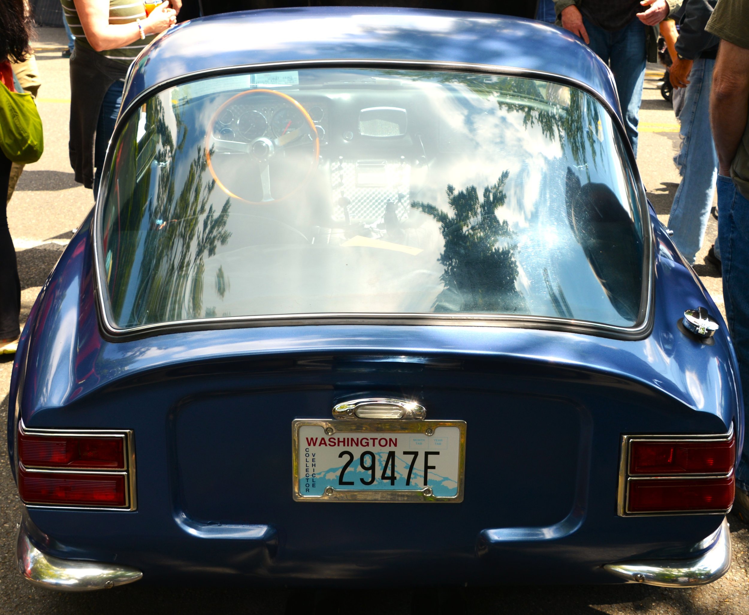 DSC_7480.JPG