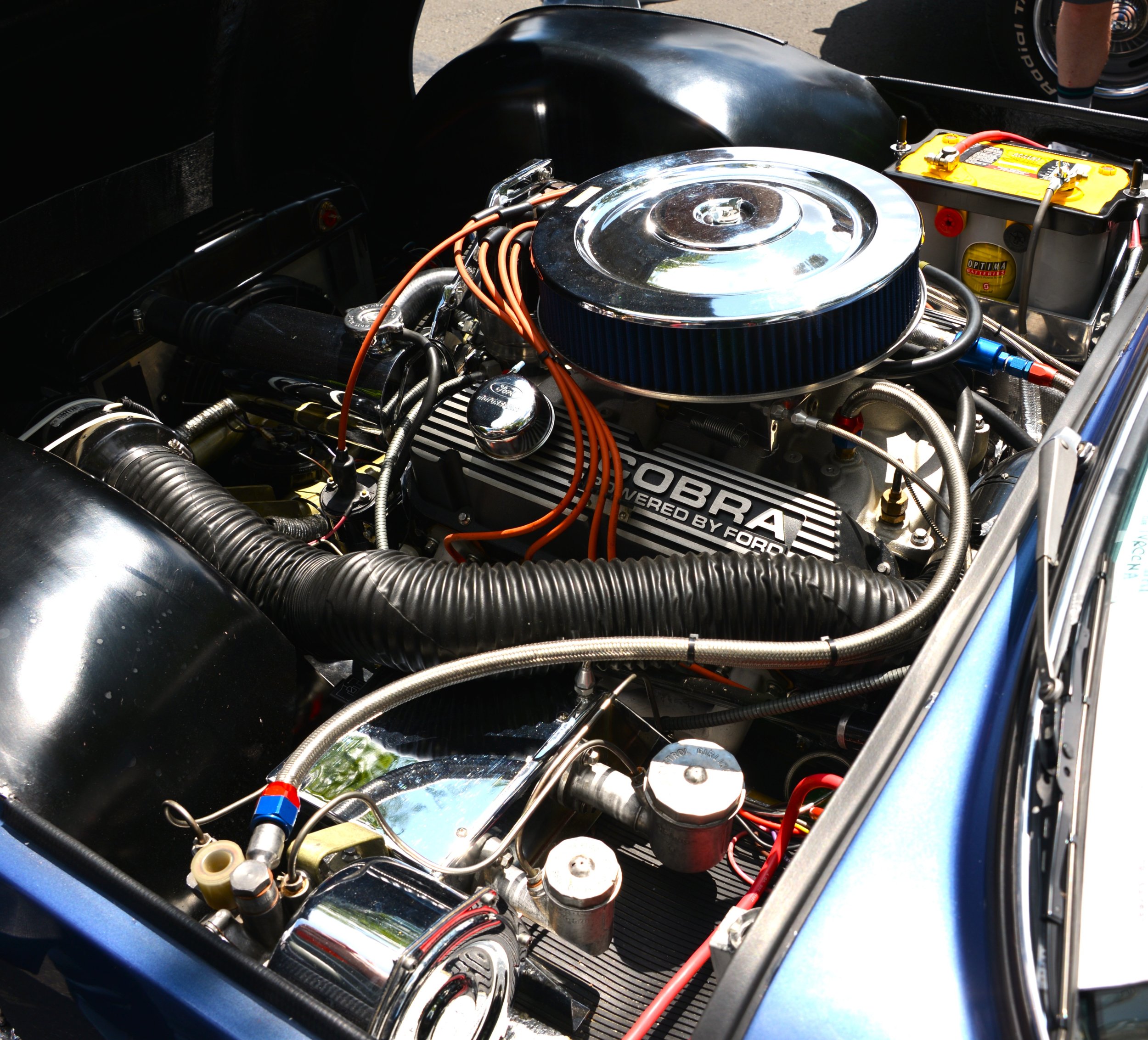 DSC_7482.JPG
