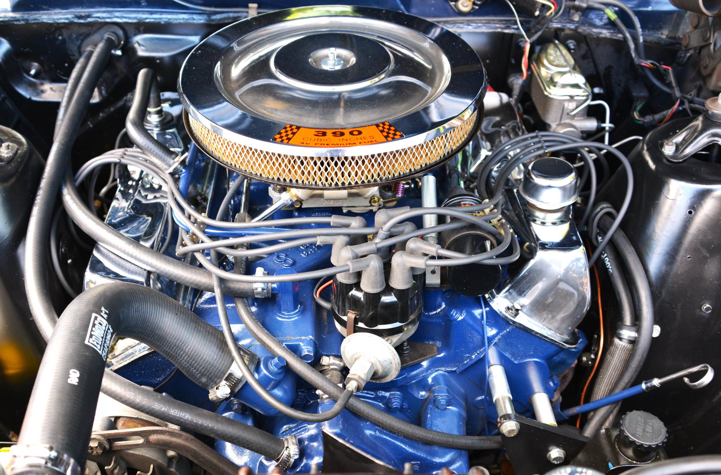 DSC_7545.JPG