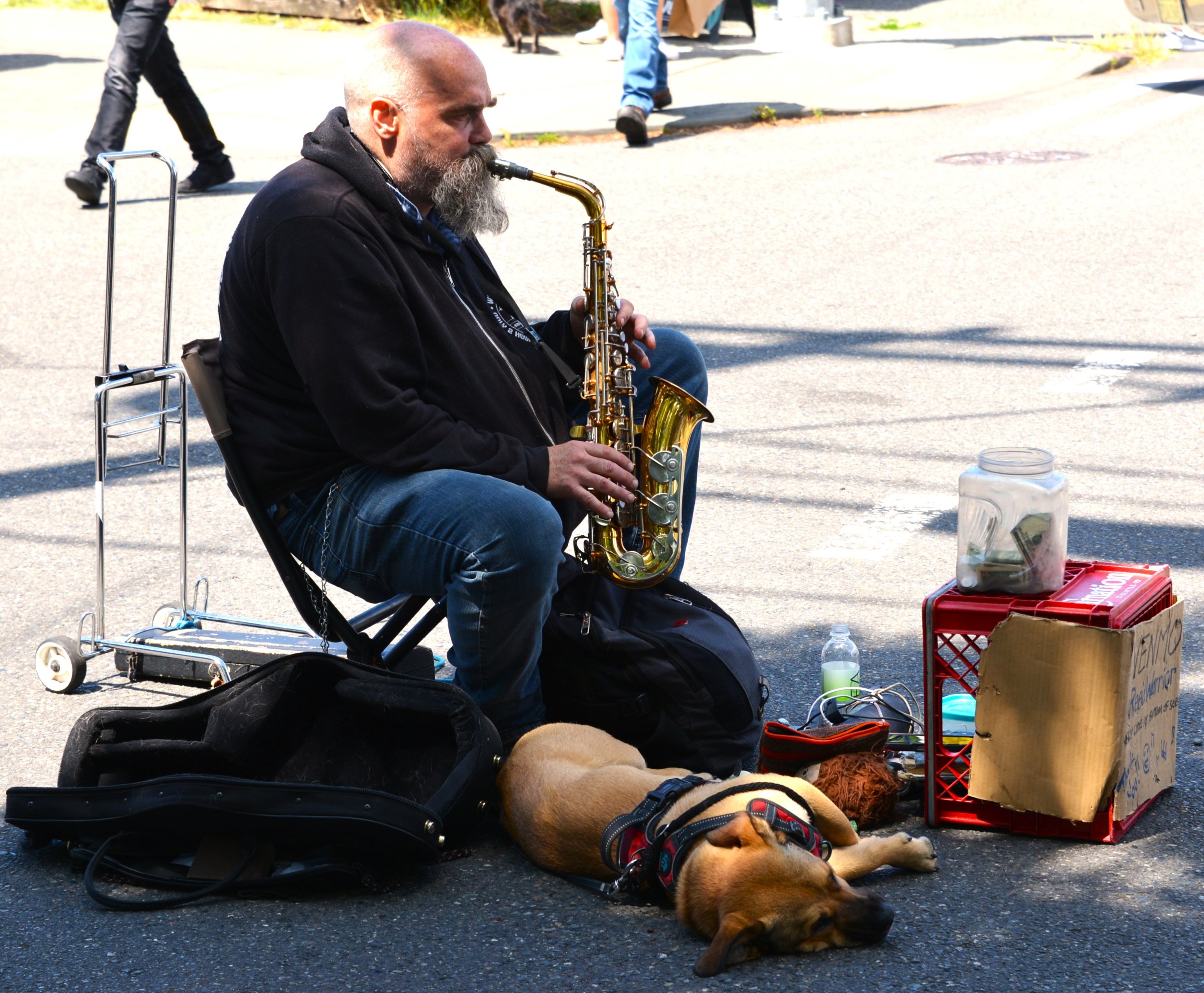 DSC_7555.JPG