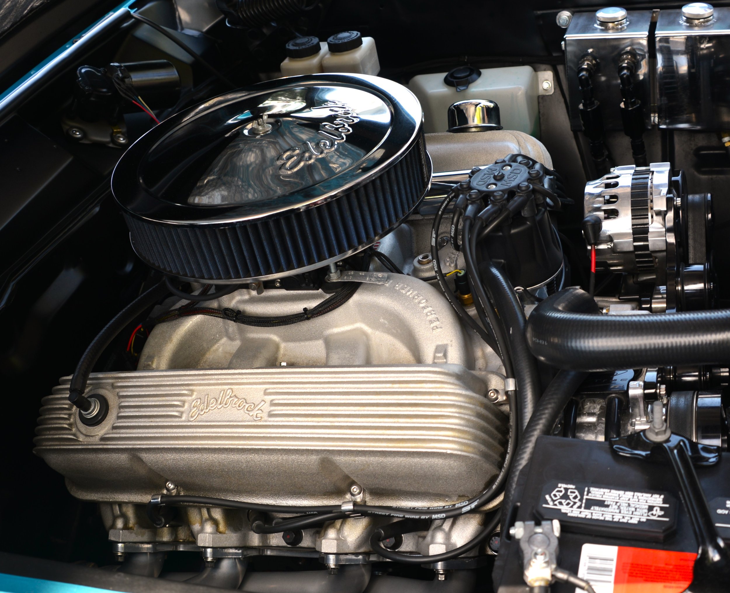 DSC_7566.JPG