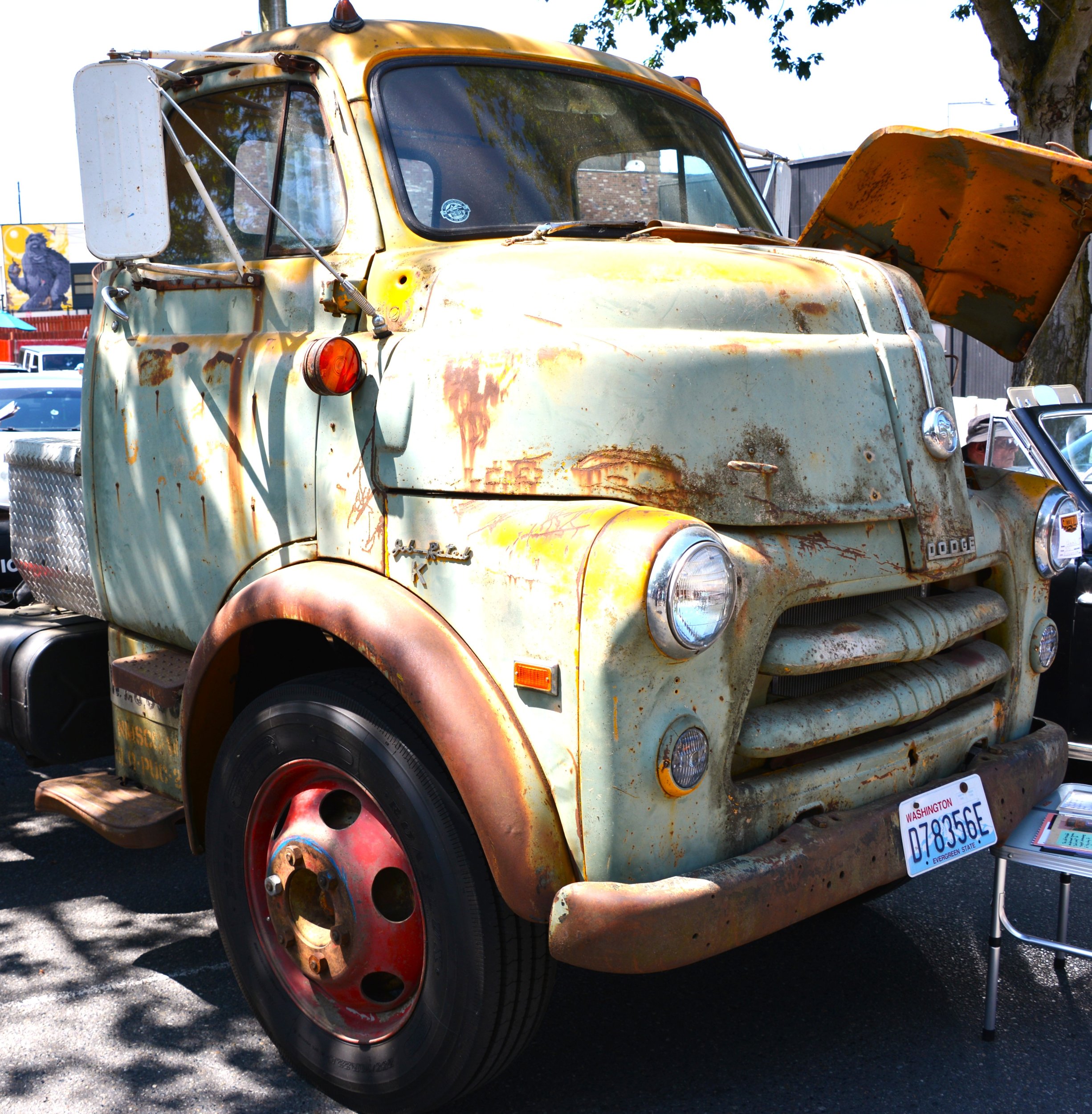 DSC_7570.JPG