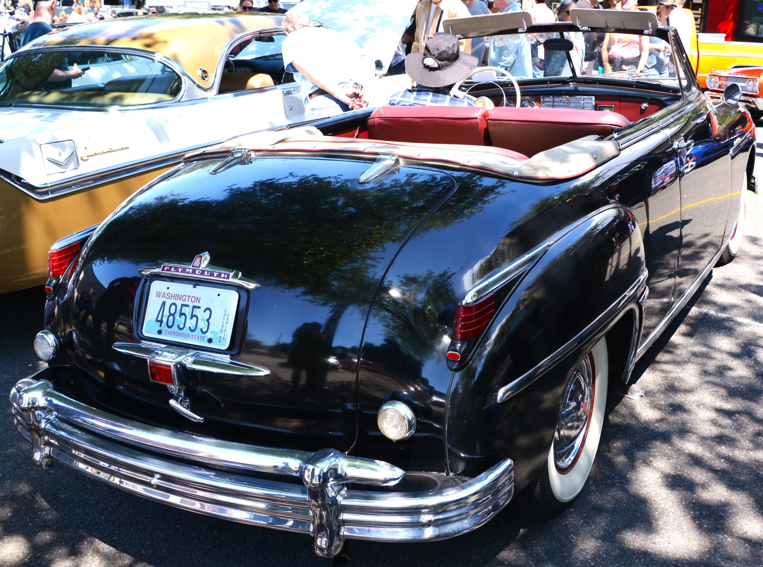 DSC_7583.JPG