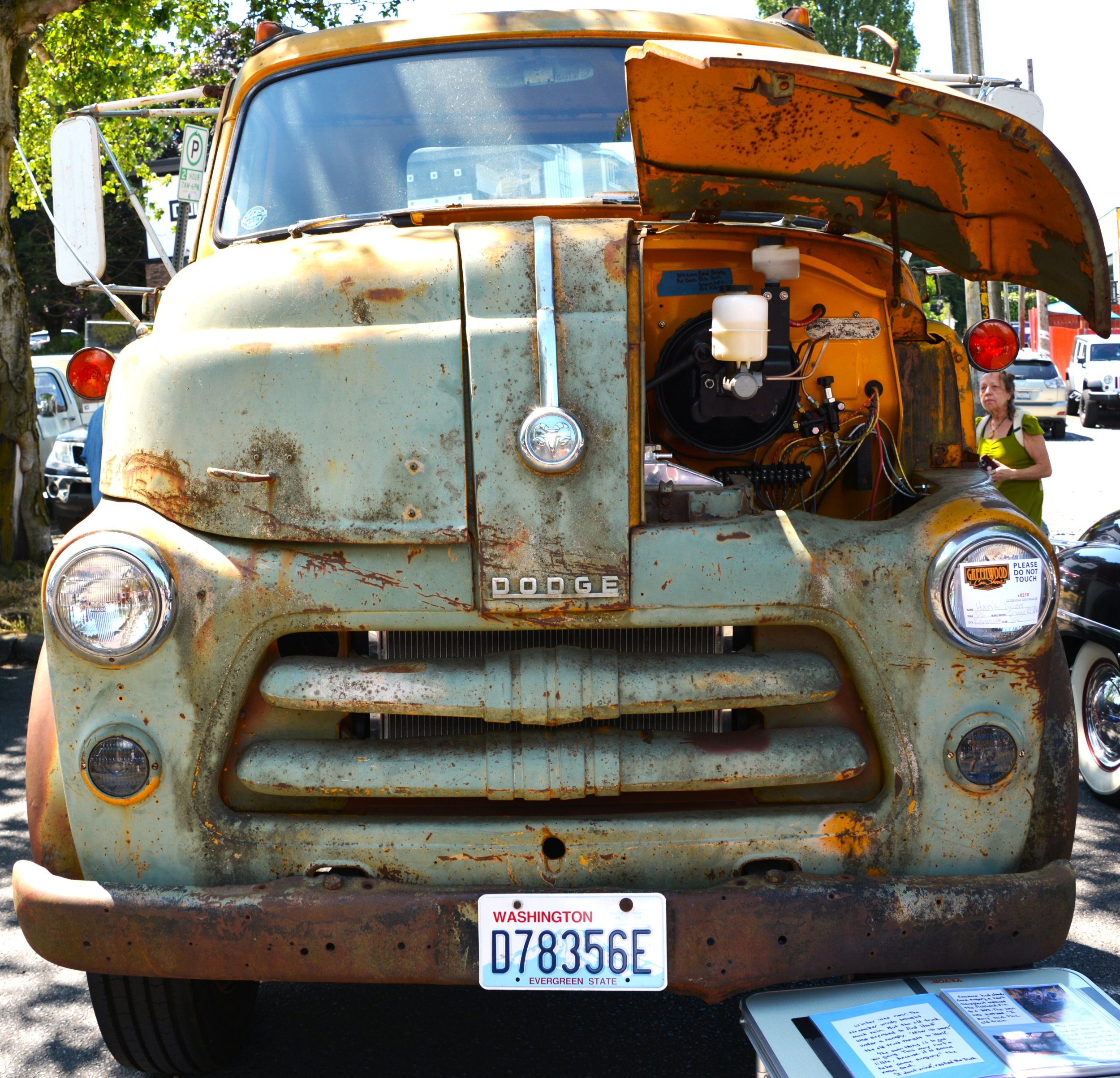 DSC_7587.JPG