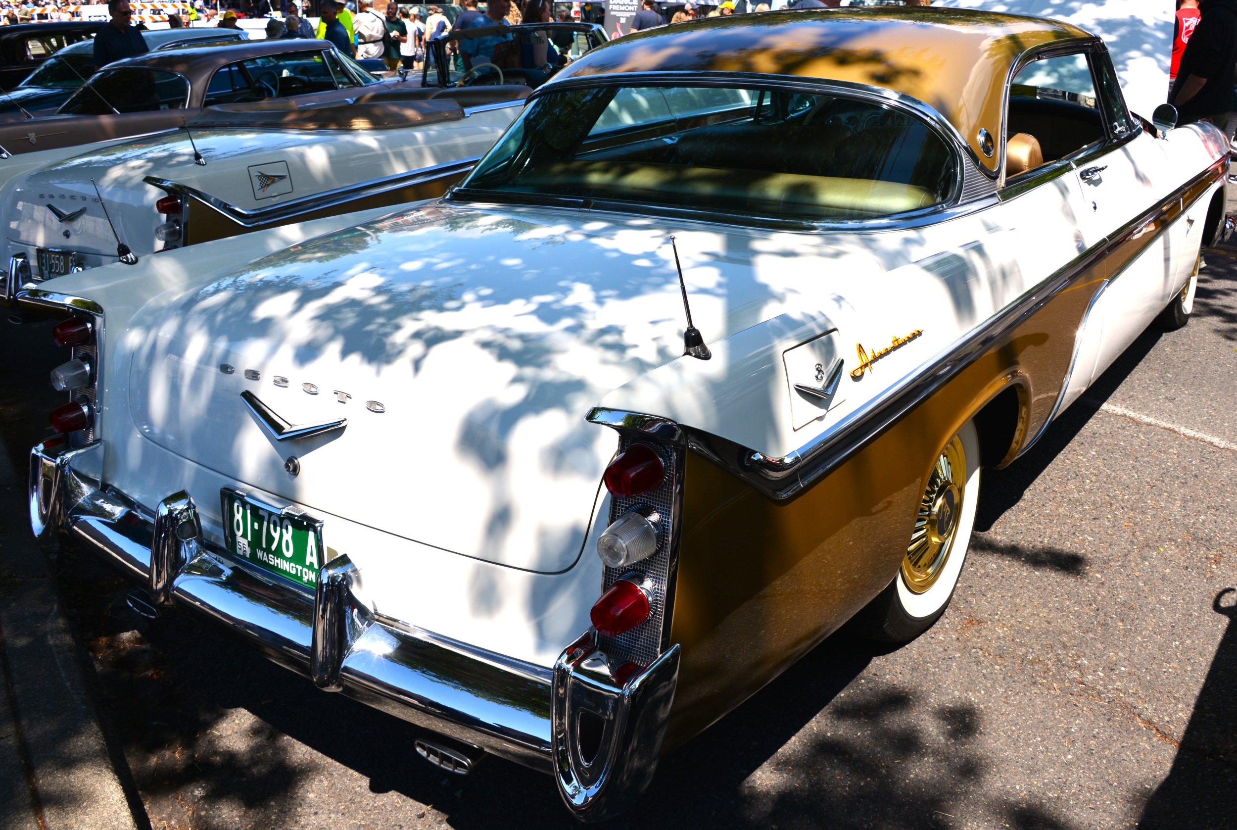 DSC_7593.JPG