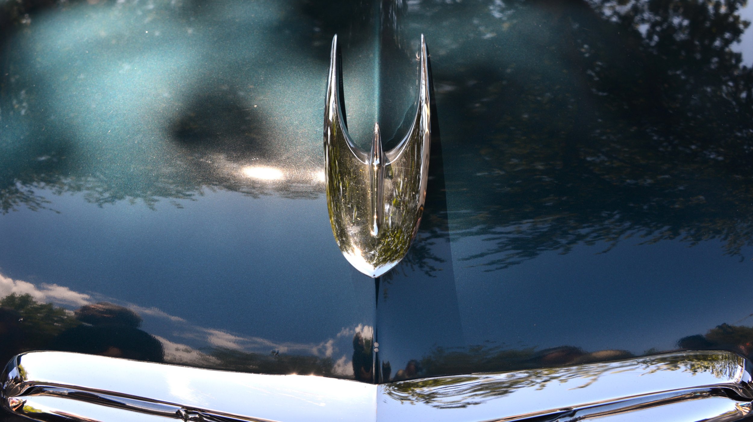 DSC_7613.JPG