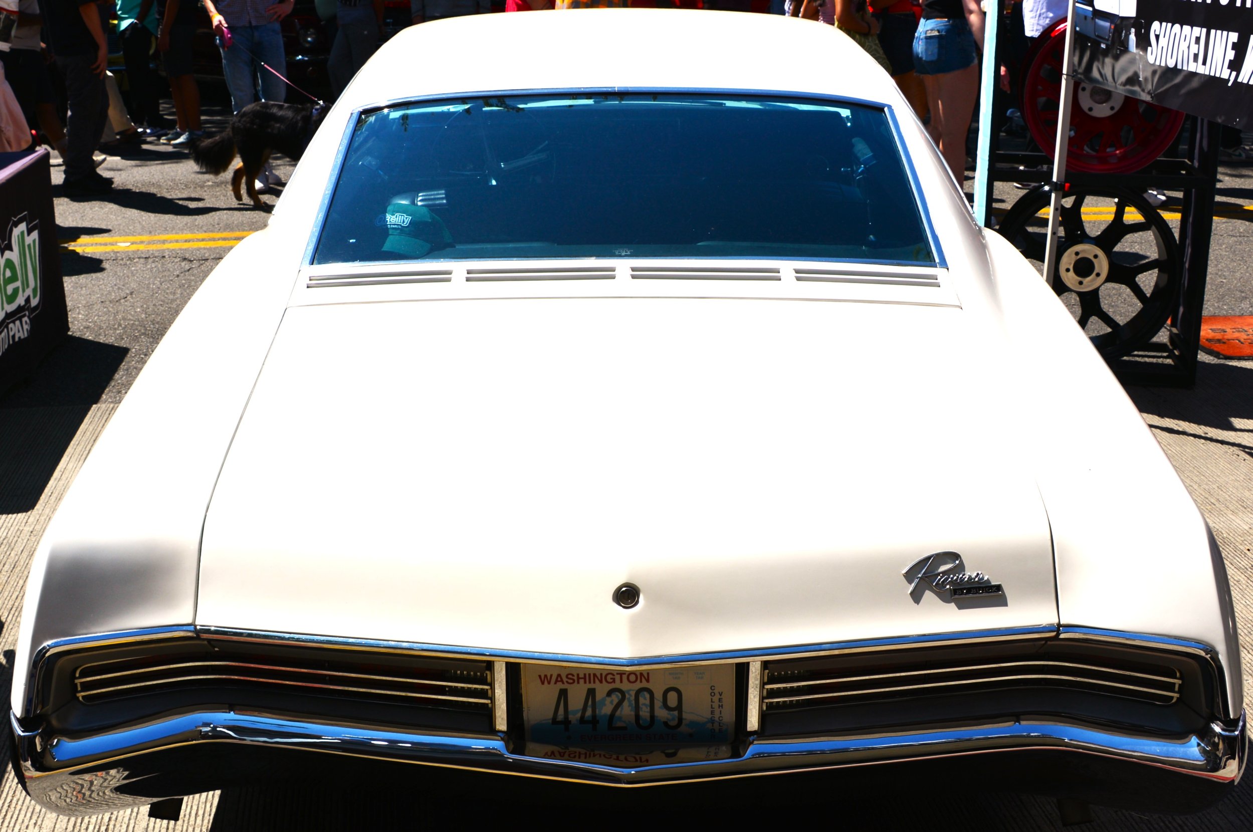 DSC_7633.JPG