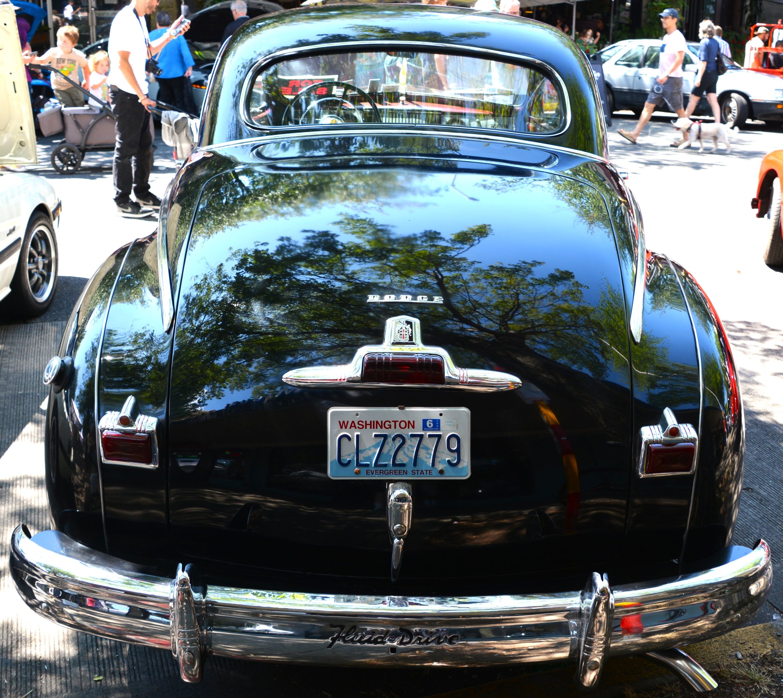 DSC_7636.JPG