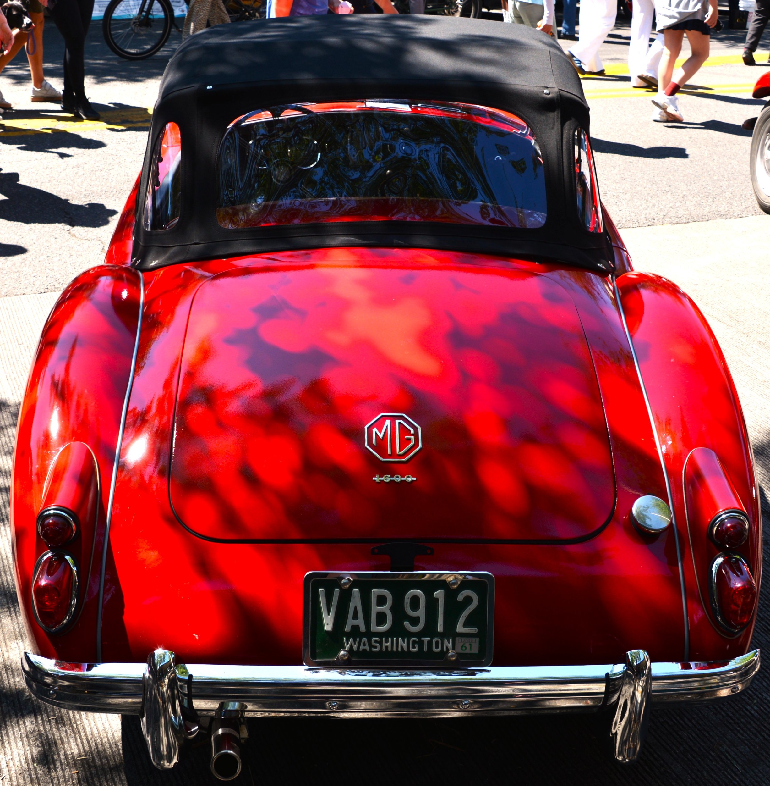DSC_7644.JPG