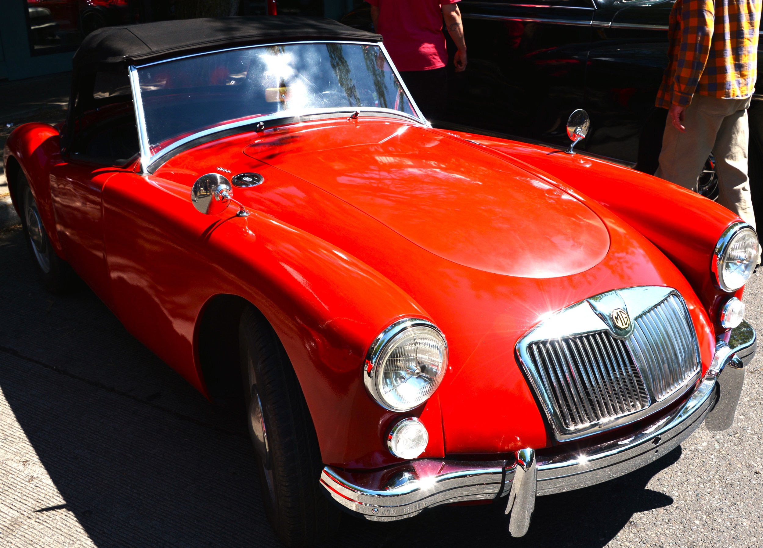 DSC_7645.JPG