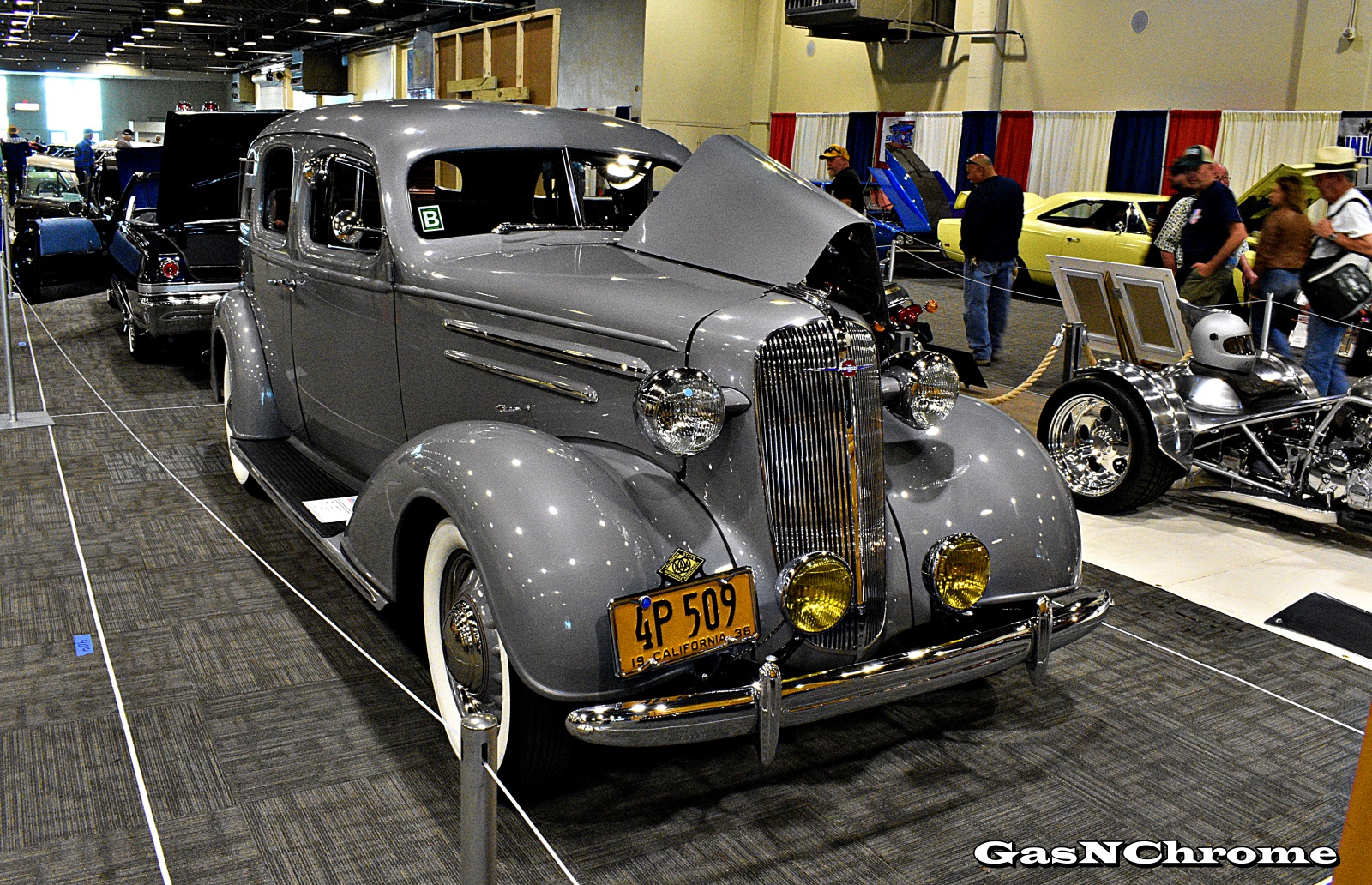 DSC_7684.JPG