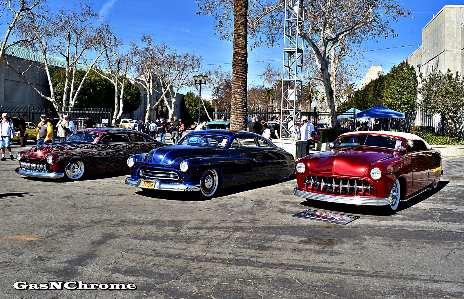 DSC_7711.JPG