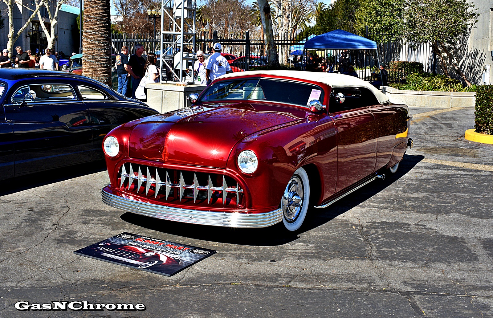 DSC_7712.JPG
