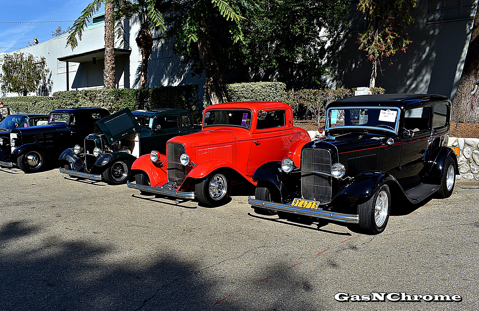DSC_7772.JPG