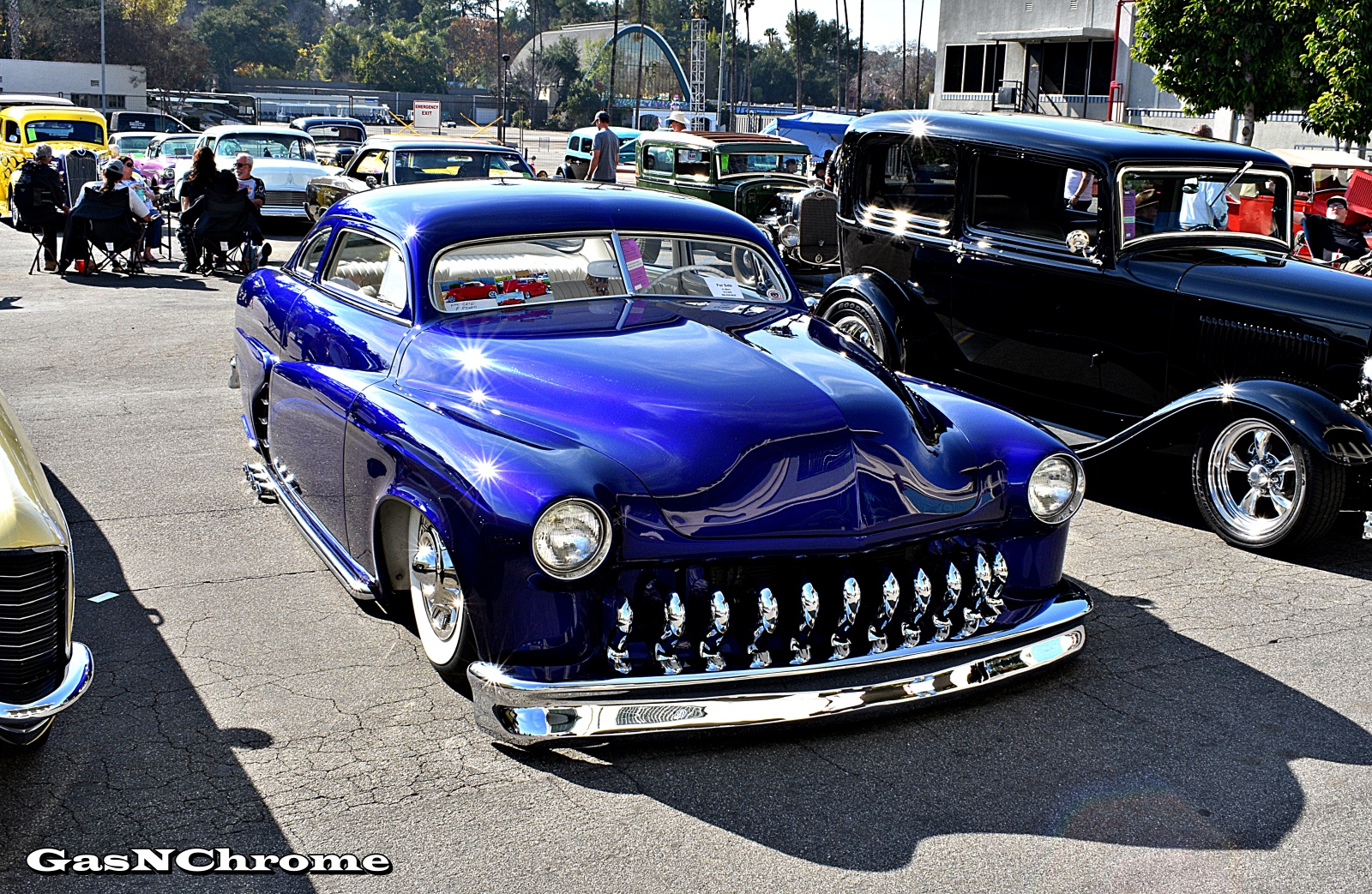 DSC_7845.JPG