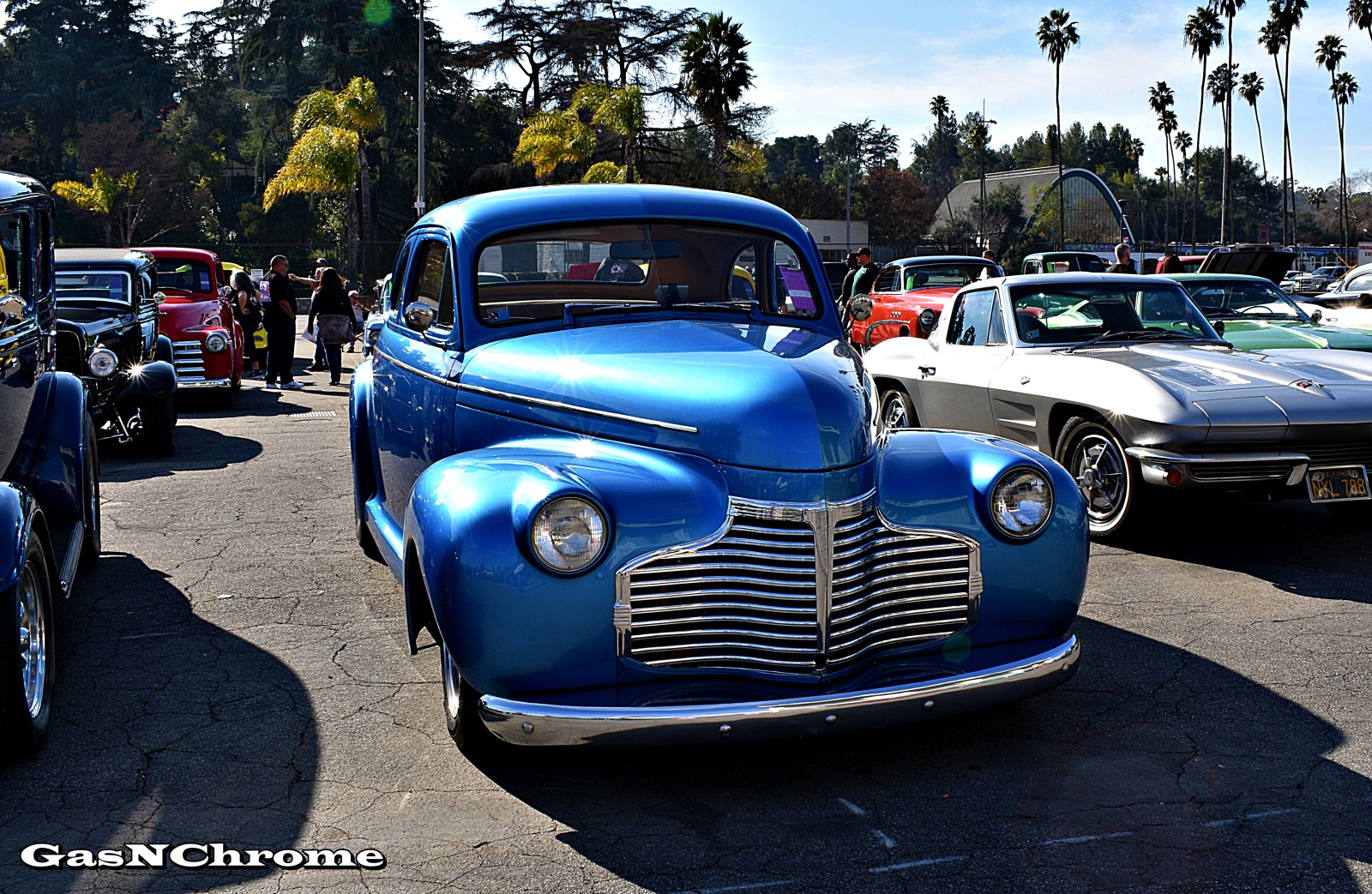 DSC_7848.JPG