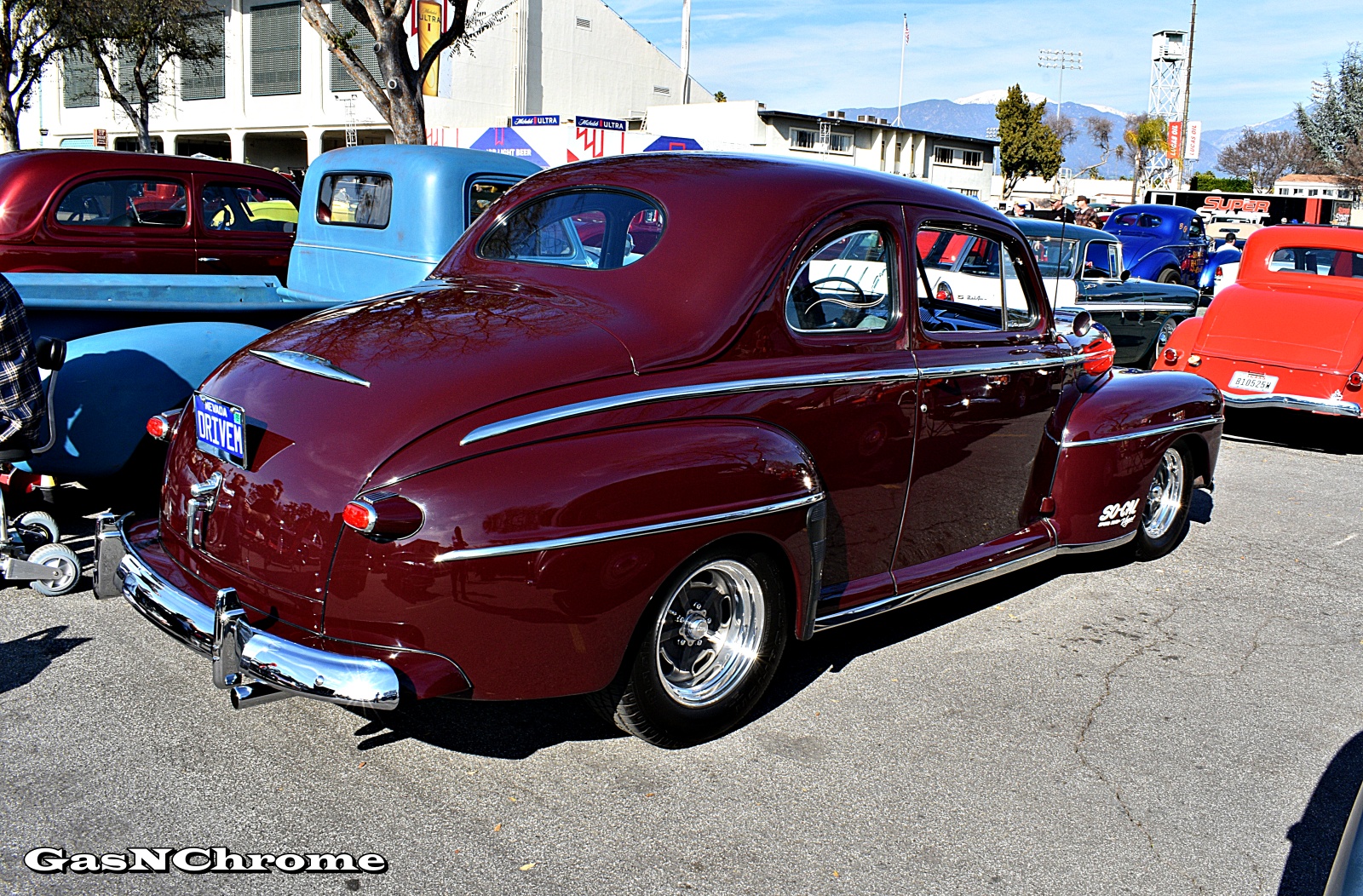 DSC_7859.JPG