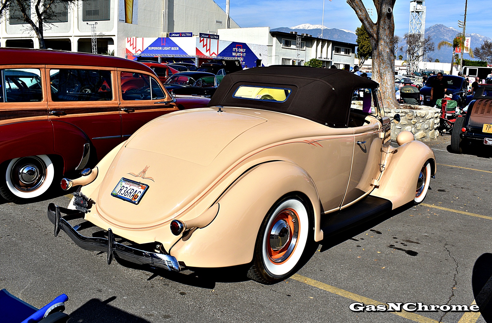 DSC_7864.JPG