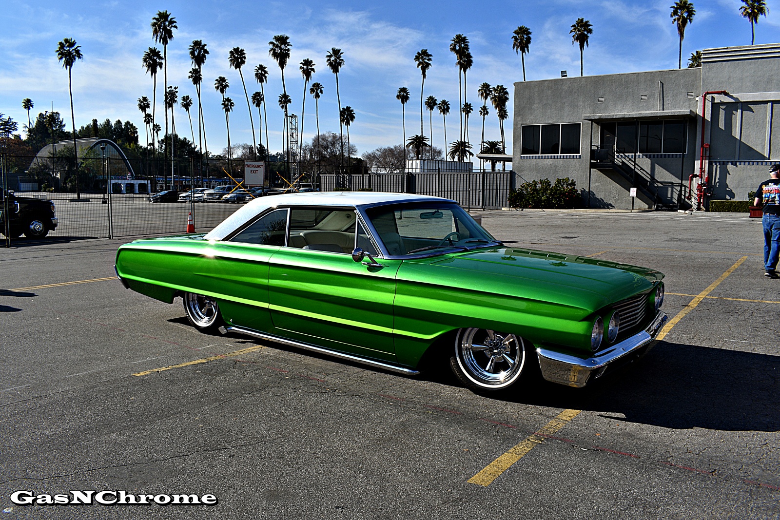 DSC_7869.JPG