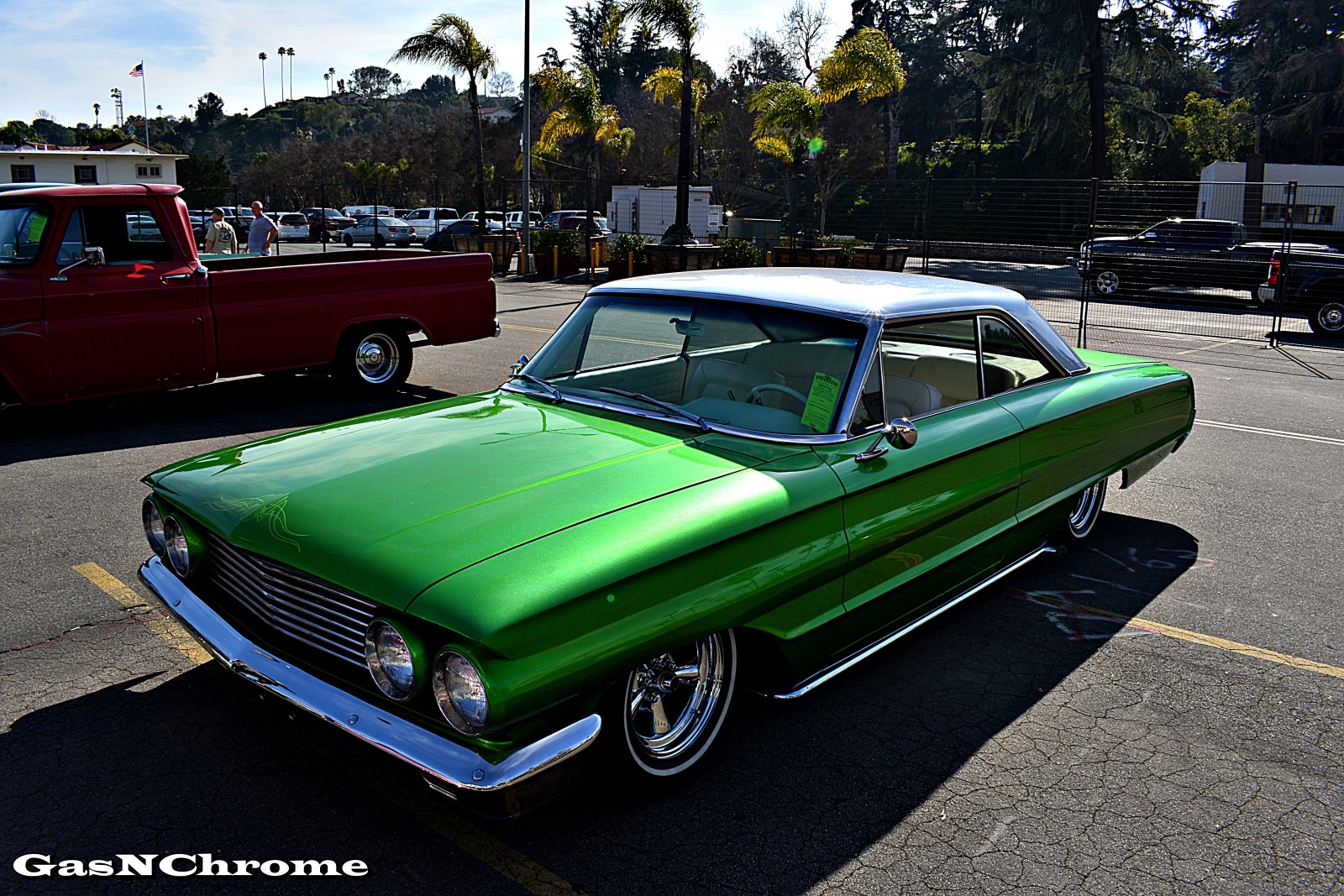 DSC_7871.JPG
