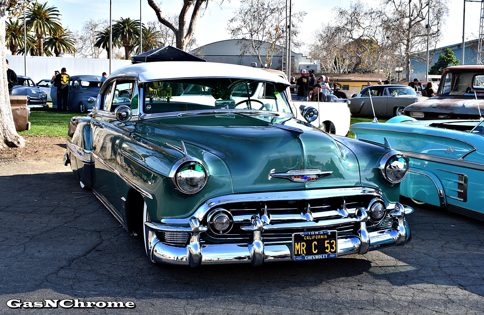 DSC_7906.JPG