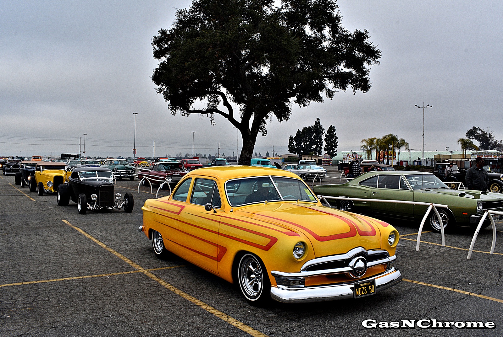 DSC_7978.JPG