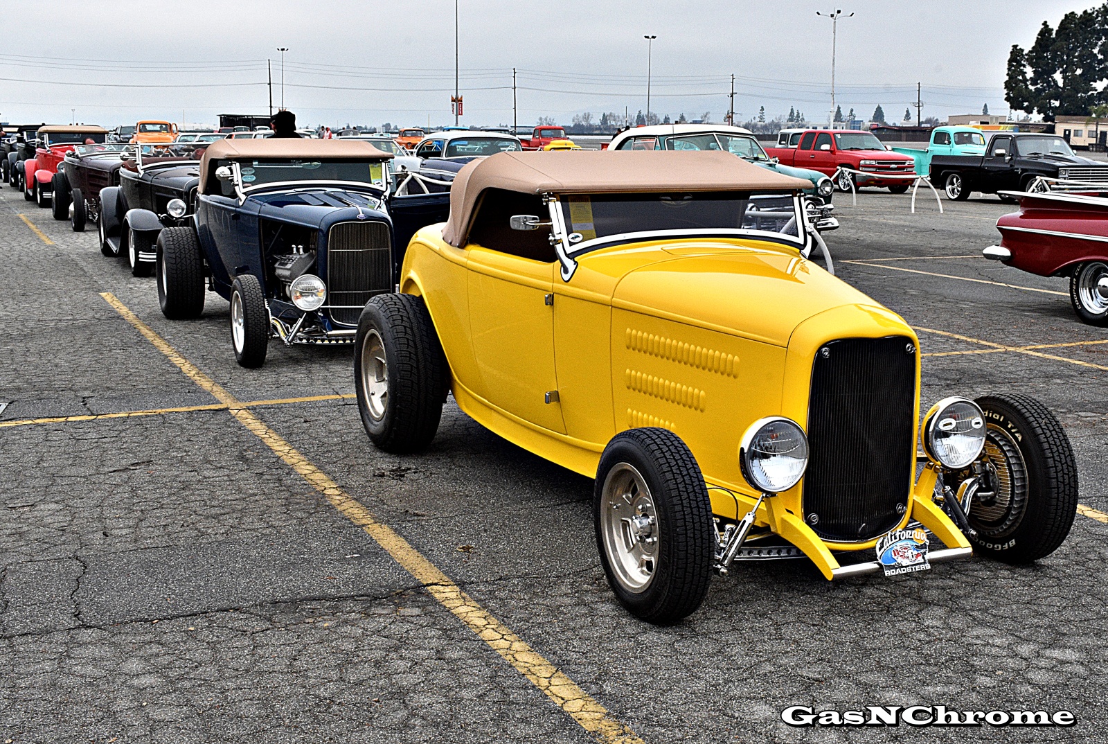 DSC_7982.JPG
