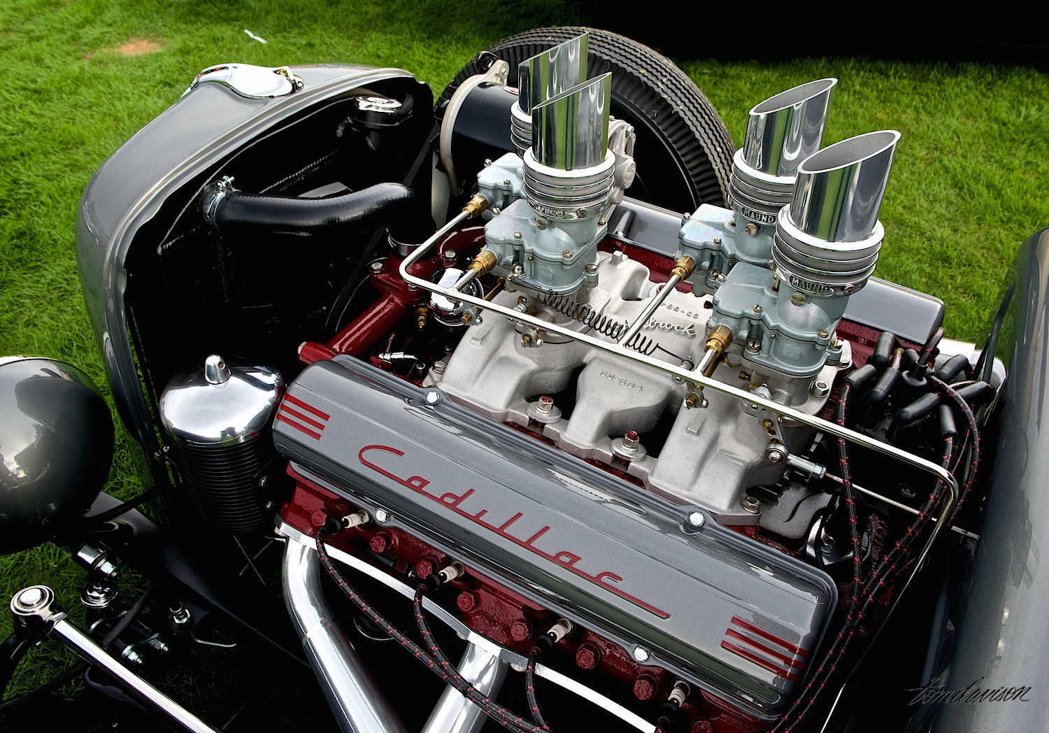 DSC_8358.jpg