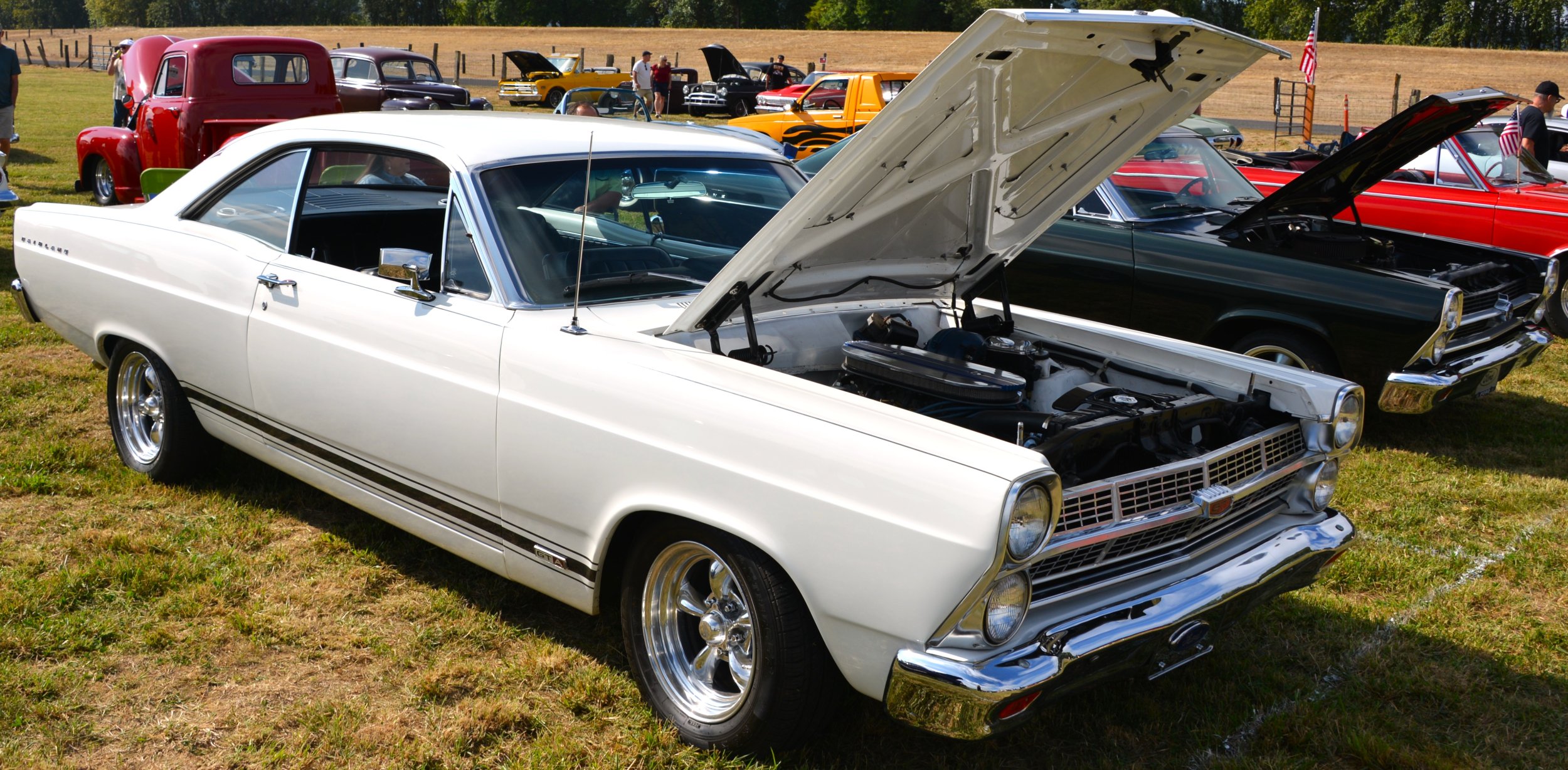 DSC_8614.JPG