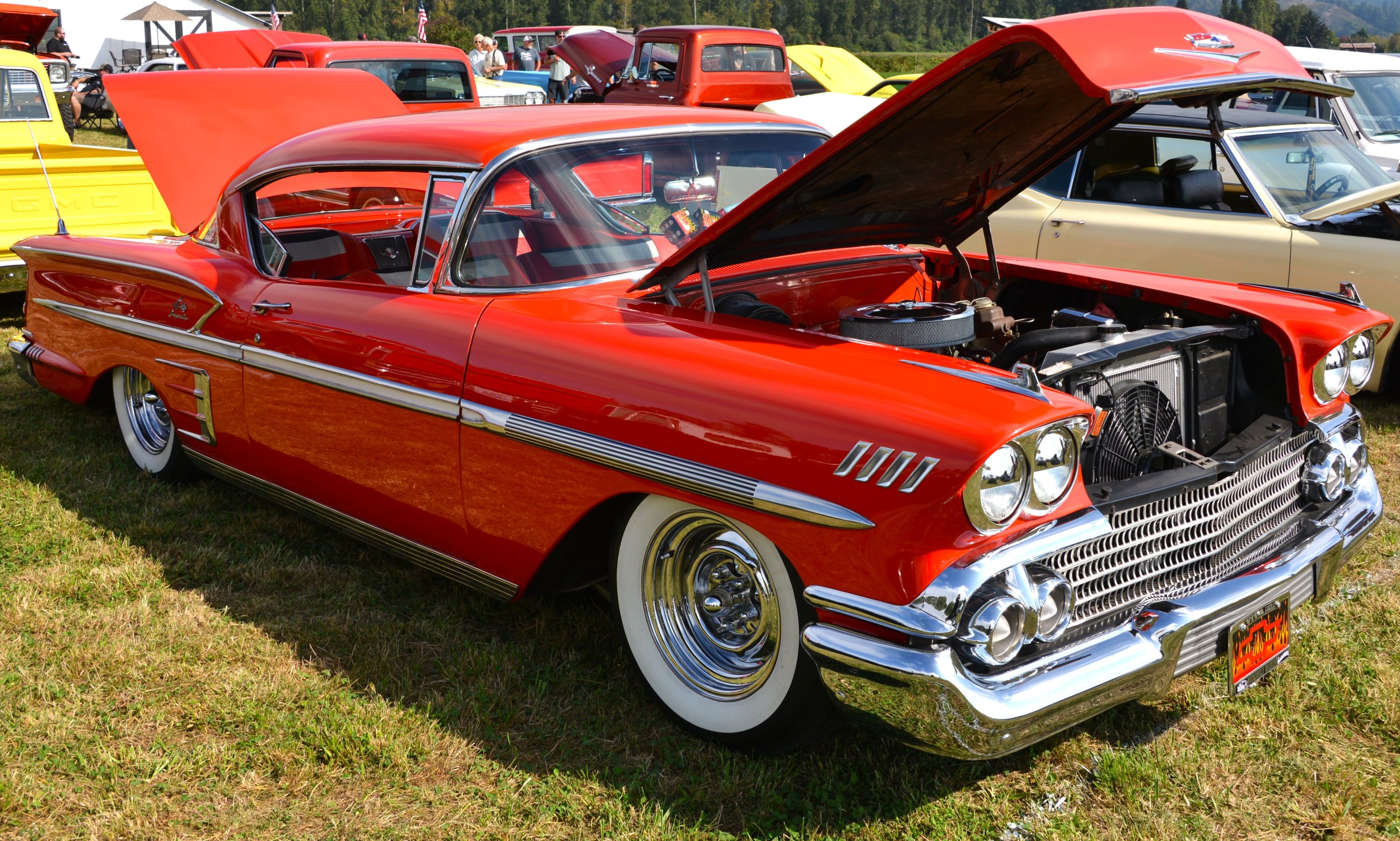 DSC_8618.JPG